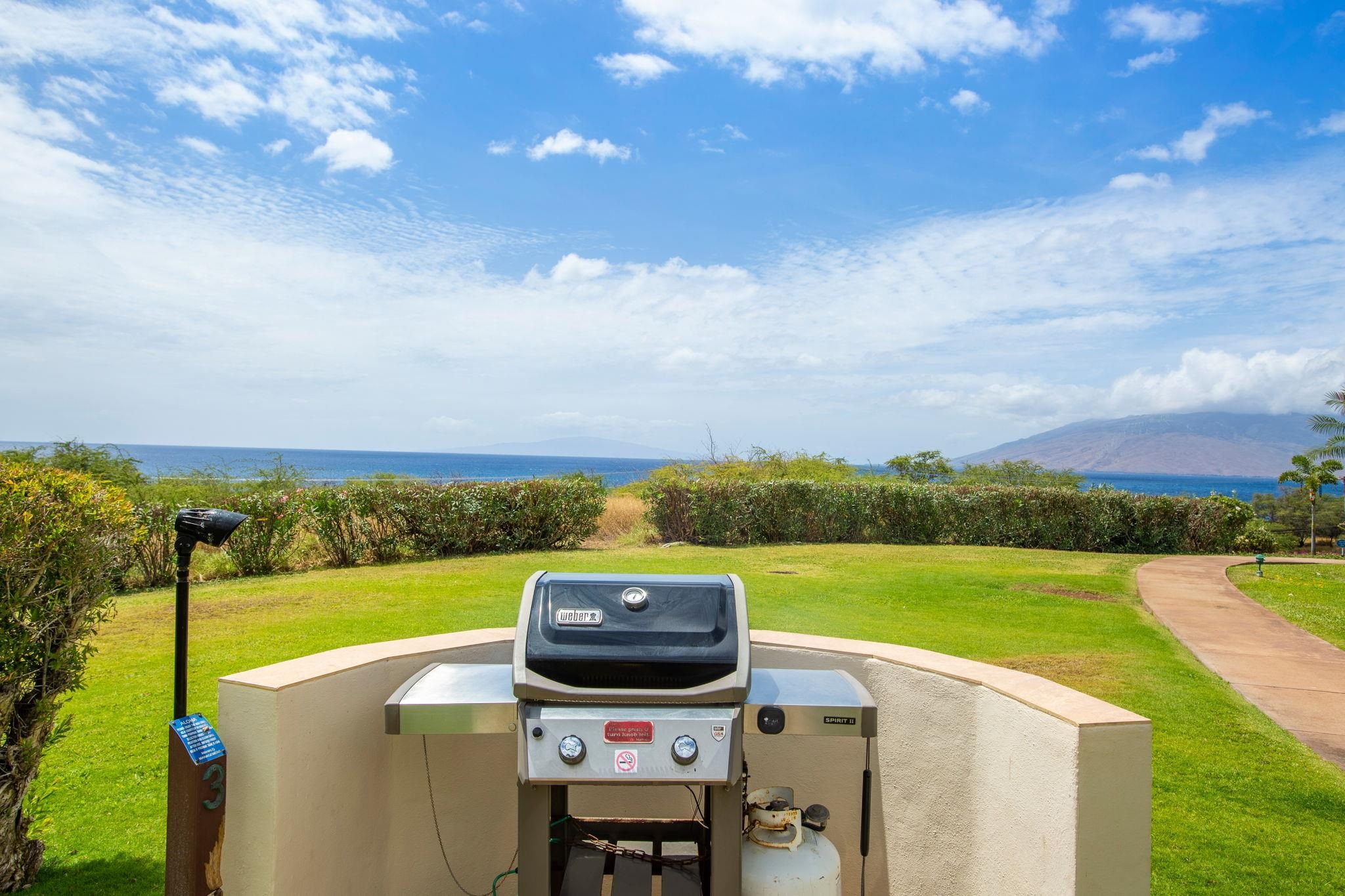 2881 S Kihei Rd Property Photo 32