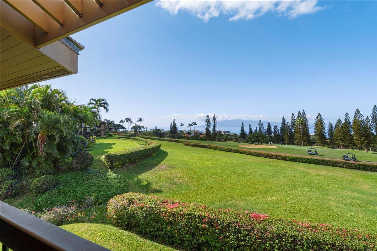 50 Puu Anoano St Property Photo 17