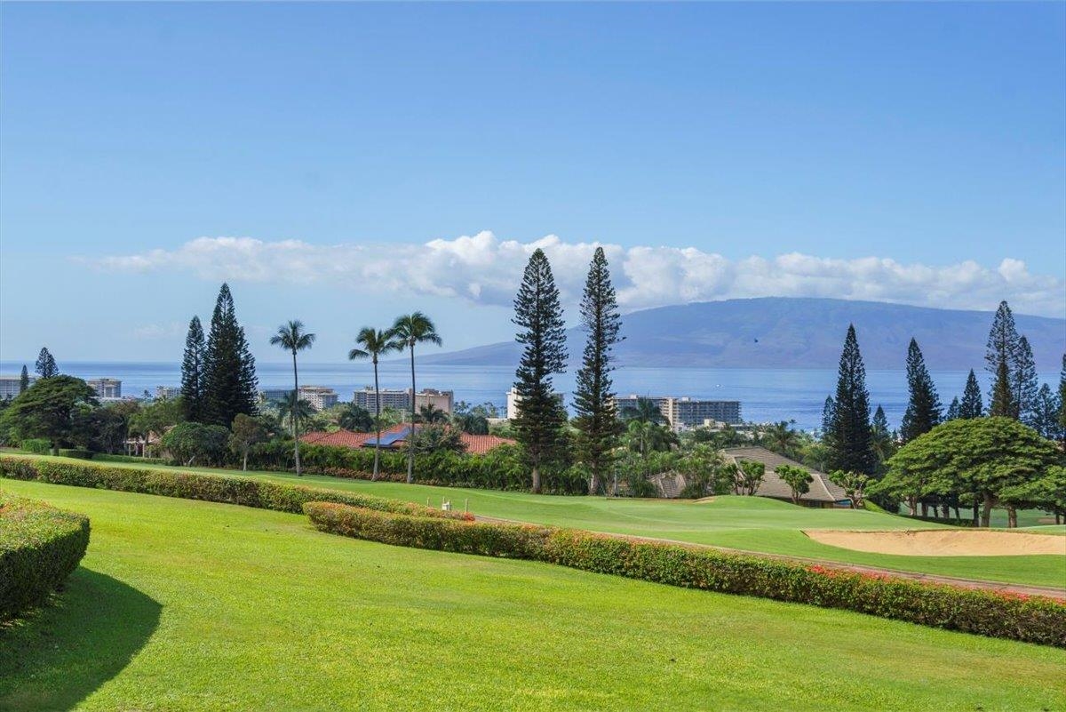 50 Puu Anoano St Property Photo 18