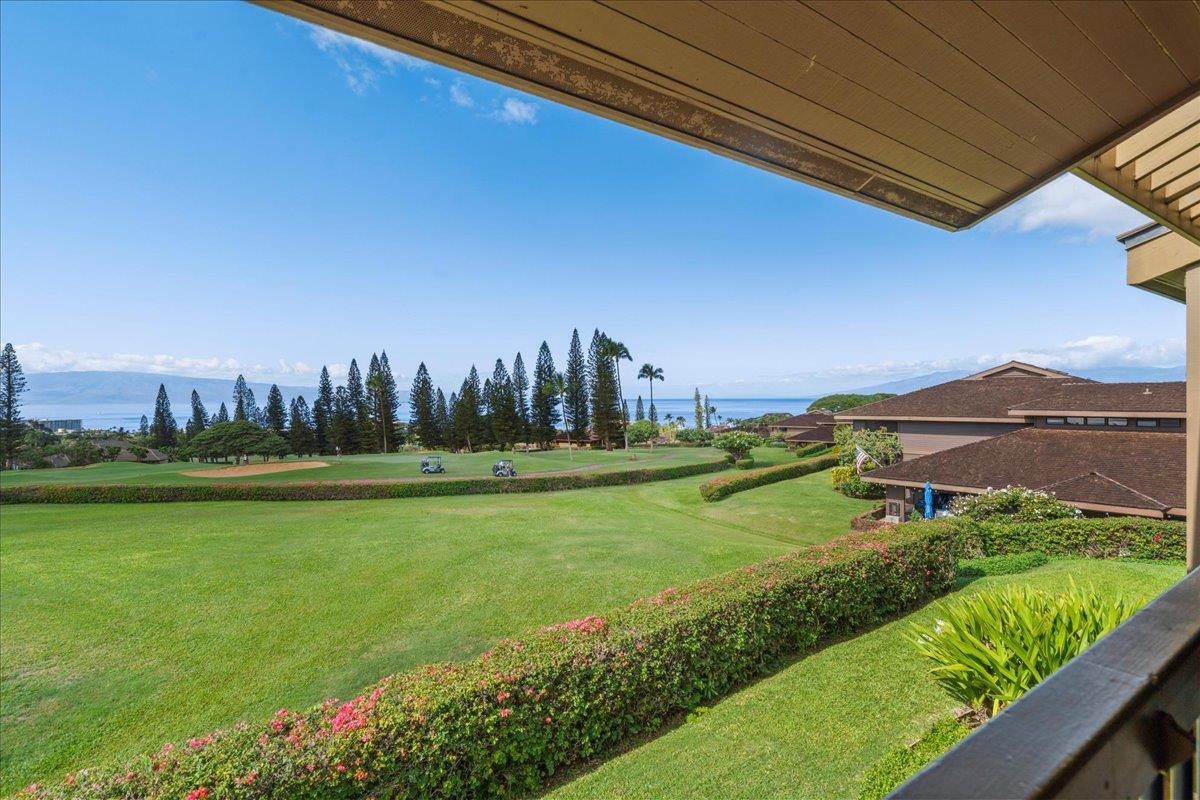 50 Puu Anoano St Property Photo 19