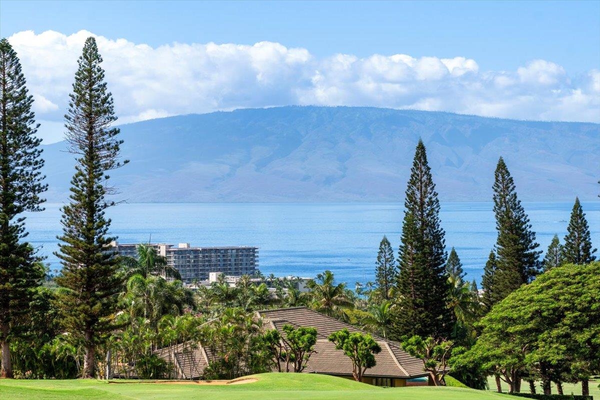 50 Puu Anoano St Property Photo 27