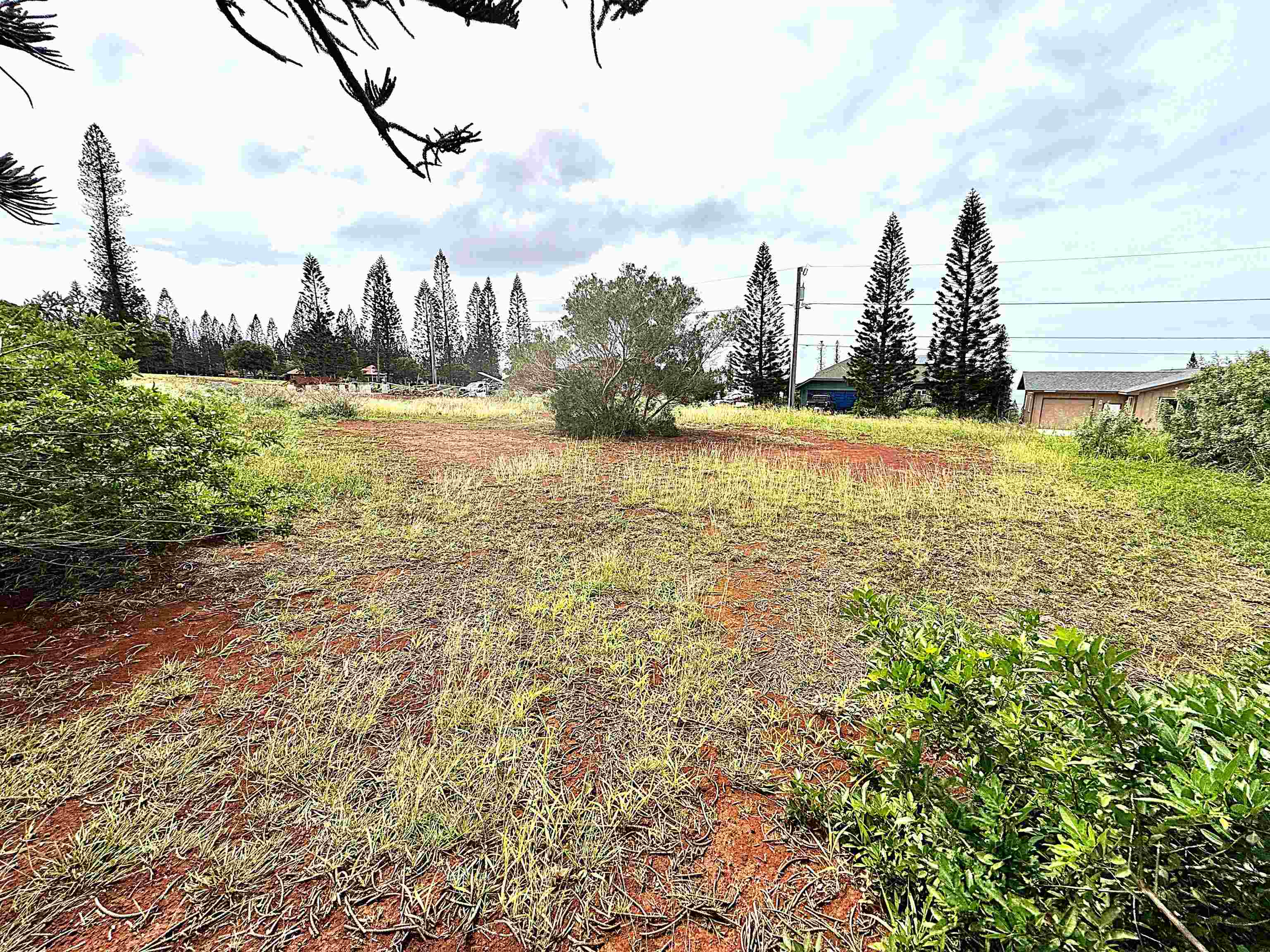 33 Linohau Pl Property Photo 5