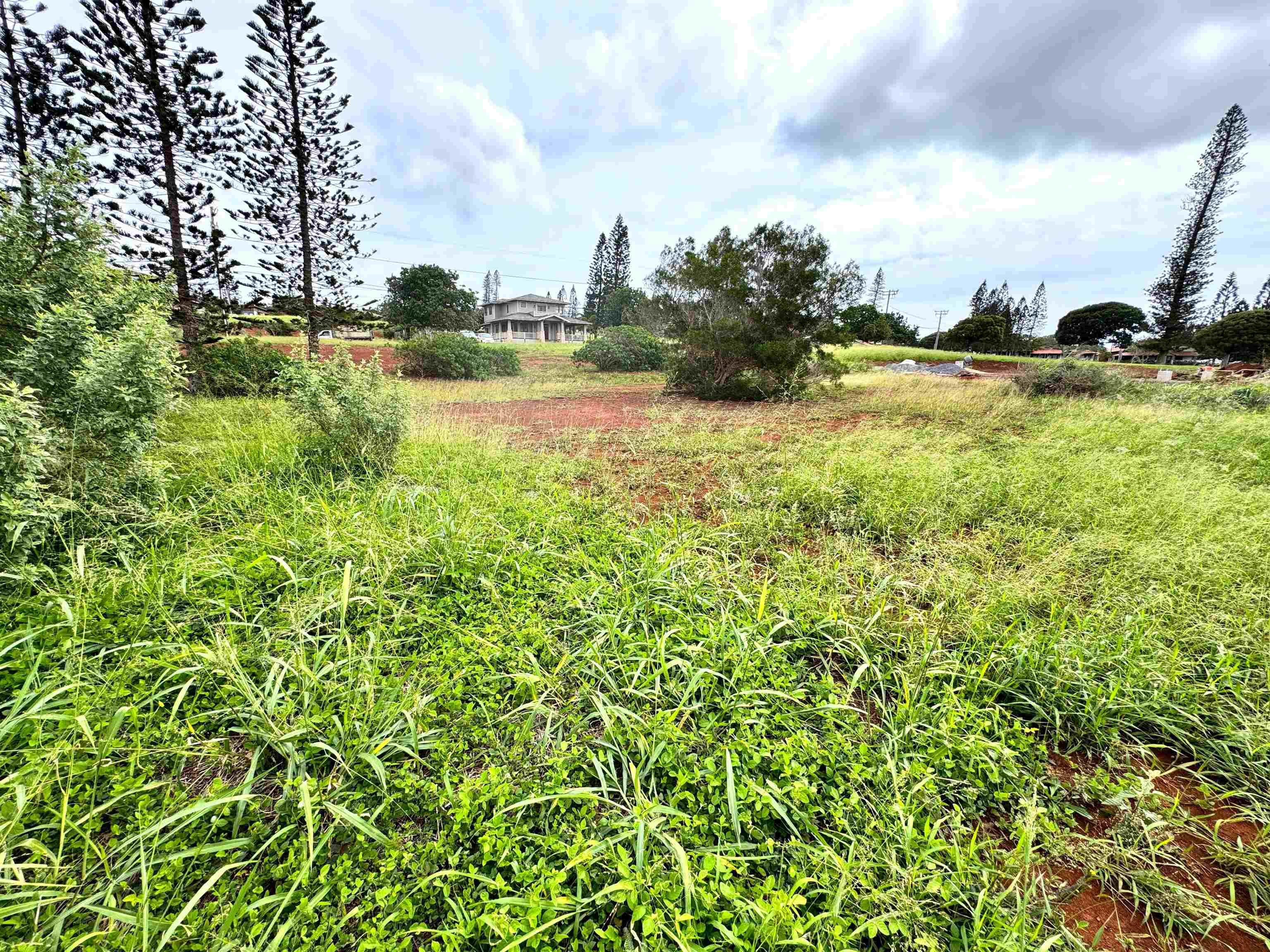 33 Linohau Pl Property Photo 7