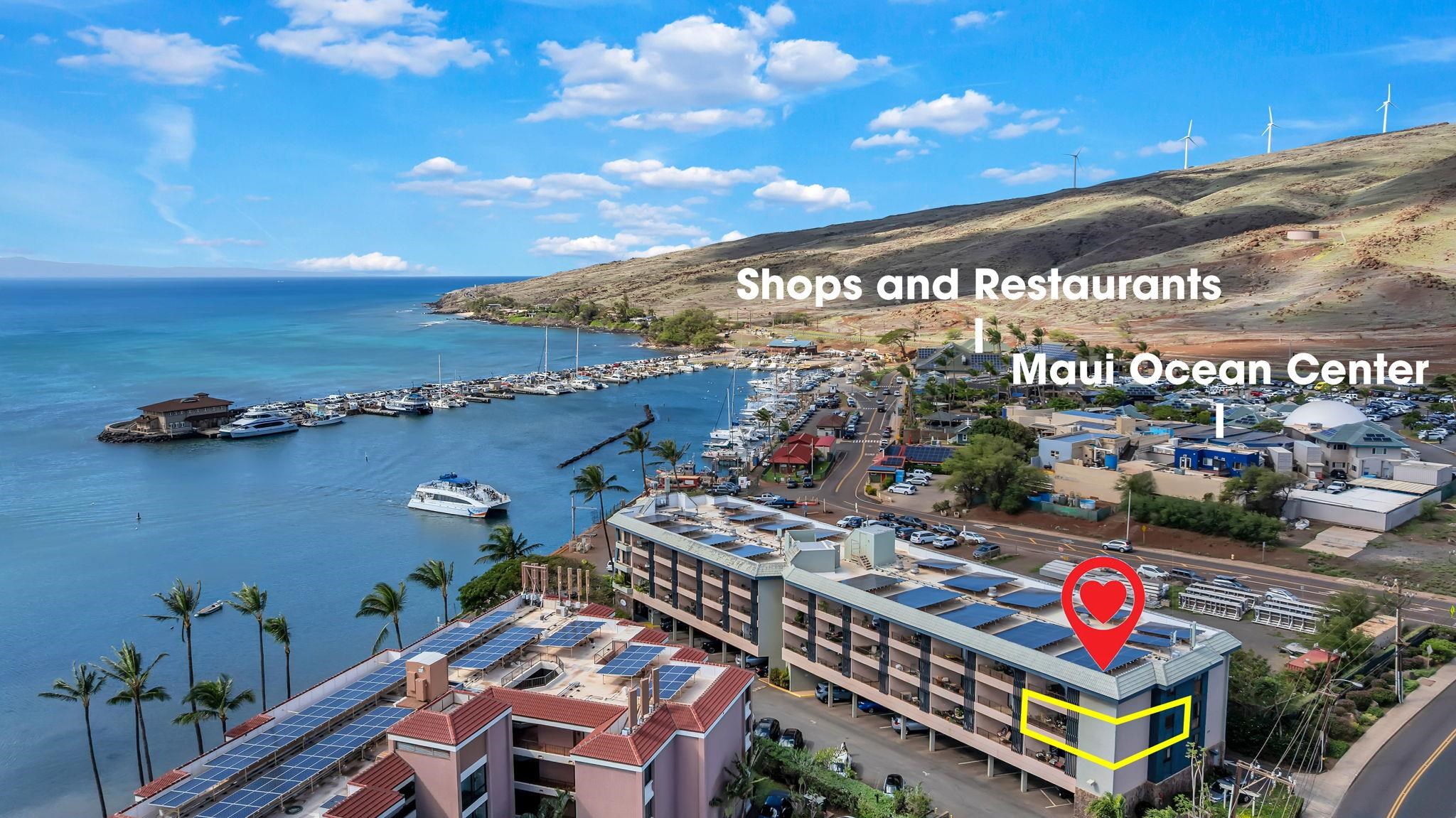 20 Hauoli St Property Photo 1