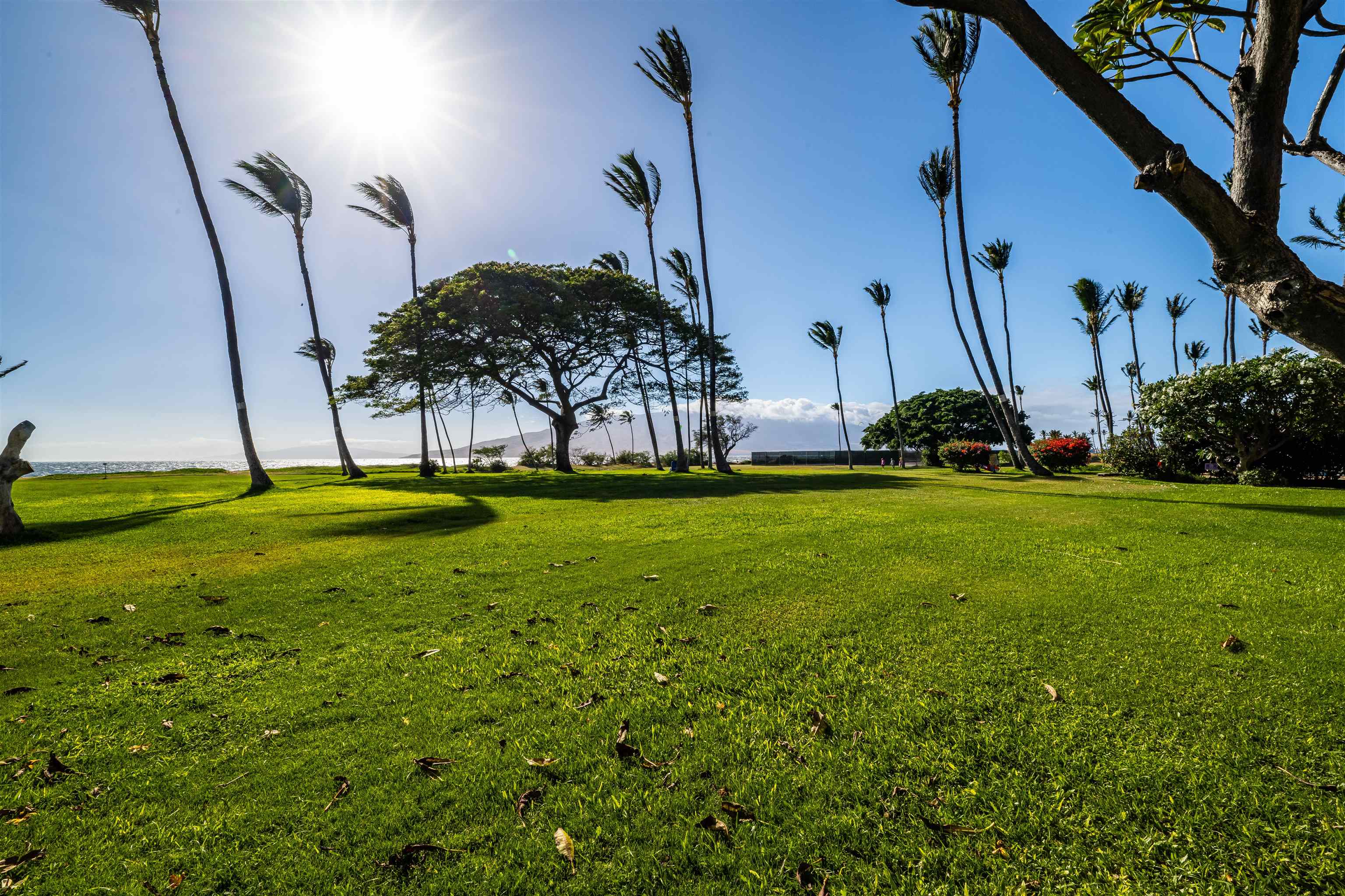 1002 S Kihei Rd Property Photo 7