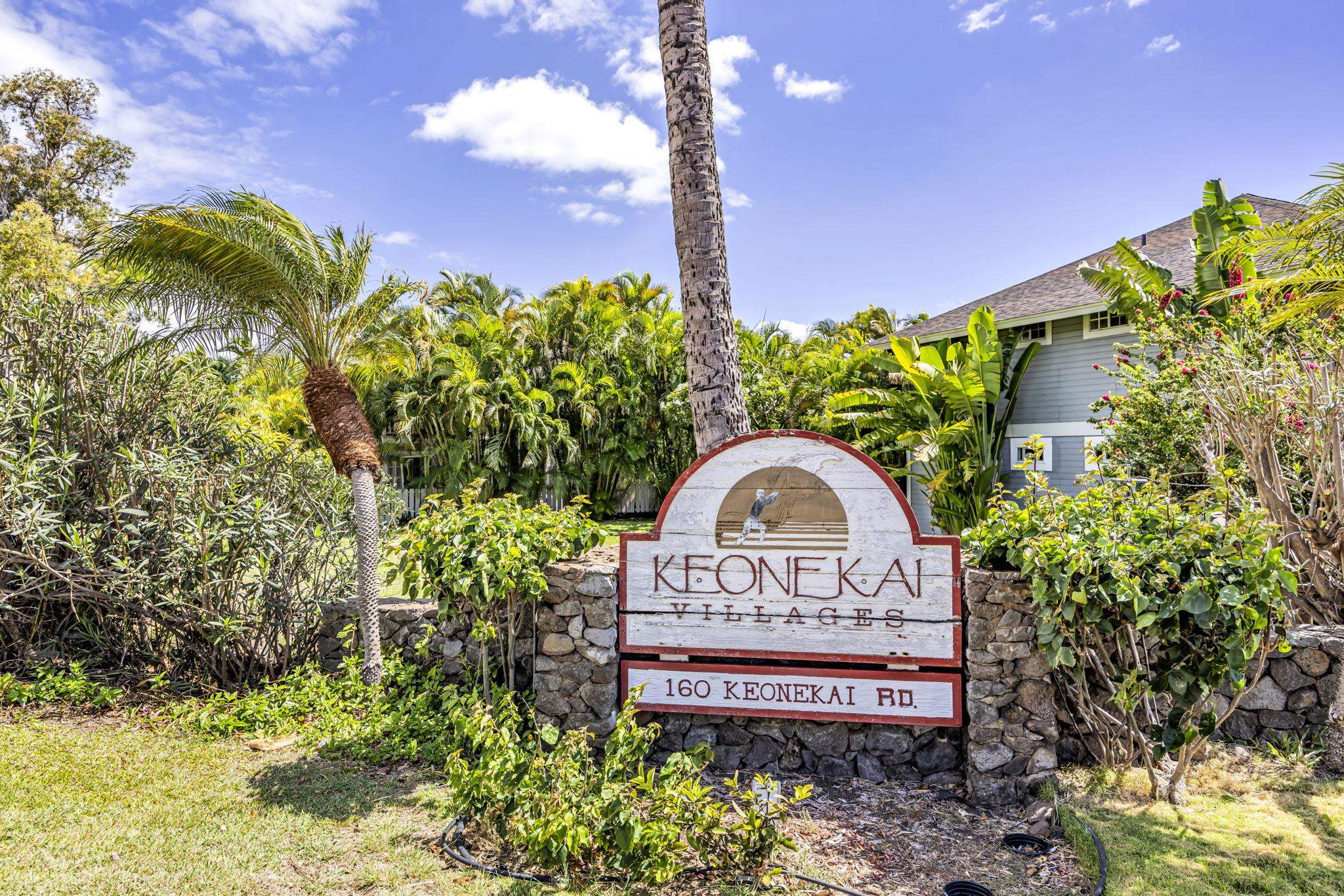 160 Keonekai Rd Property Photo 1