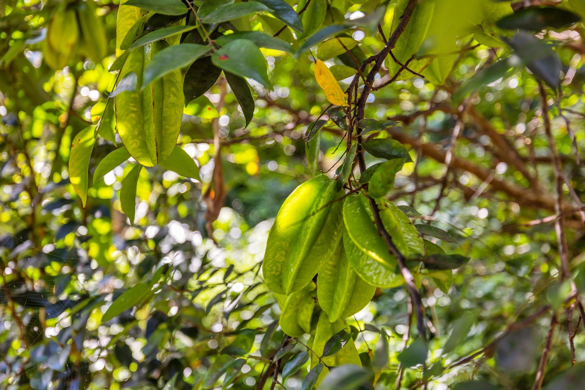 408841 Property Photo 35