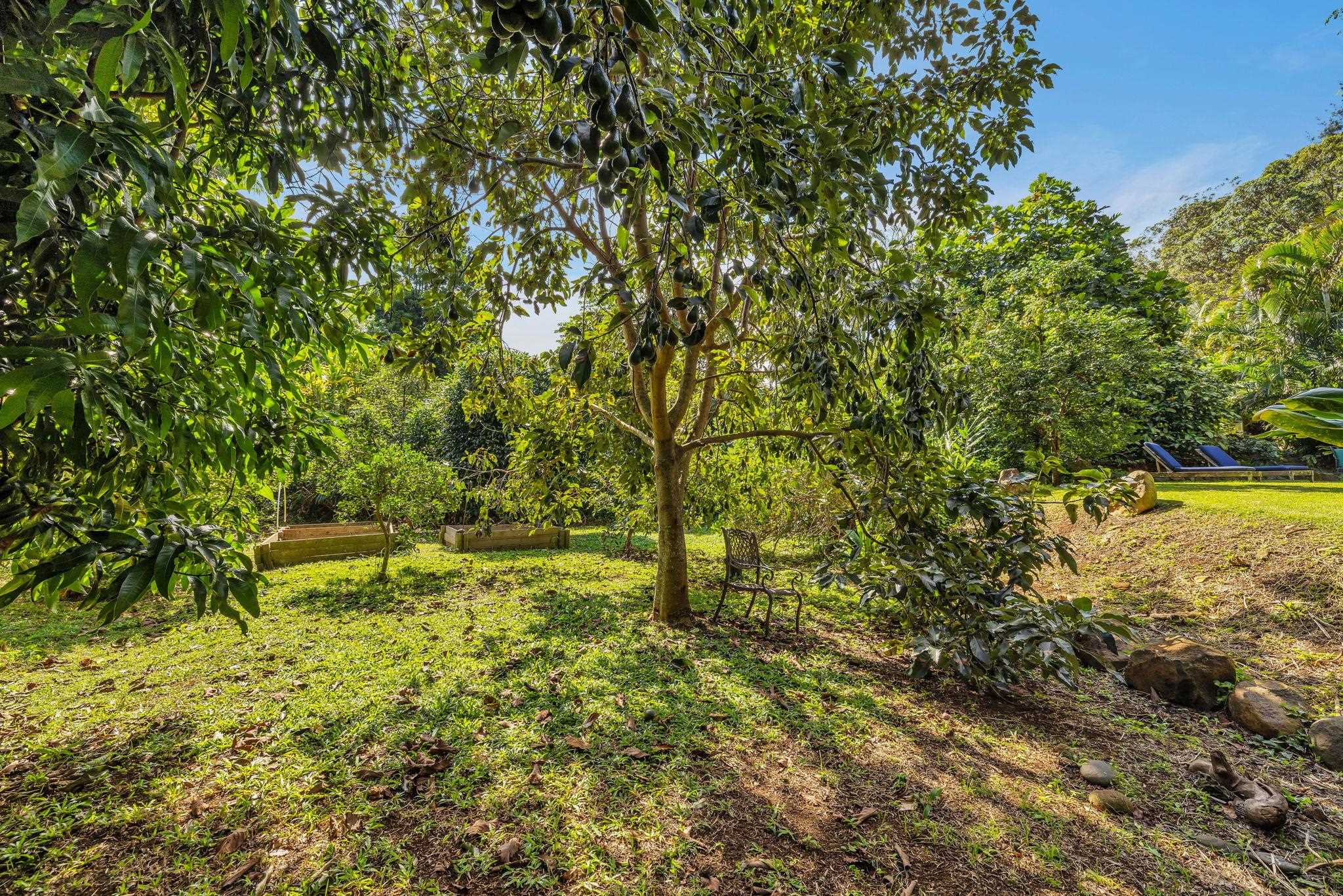 408841 Property Photo 37