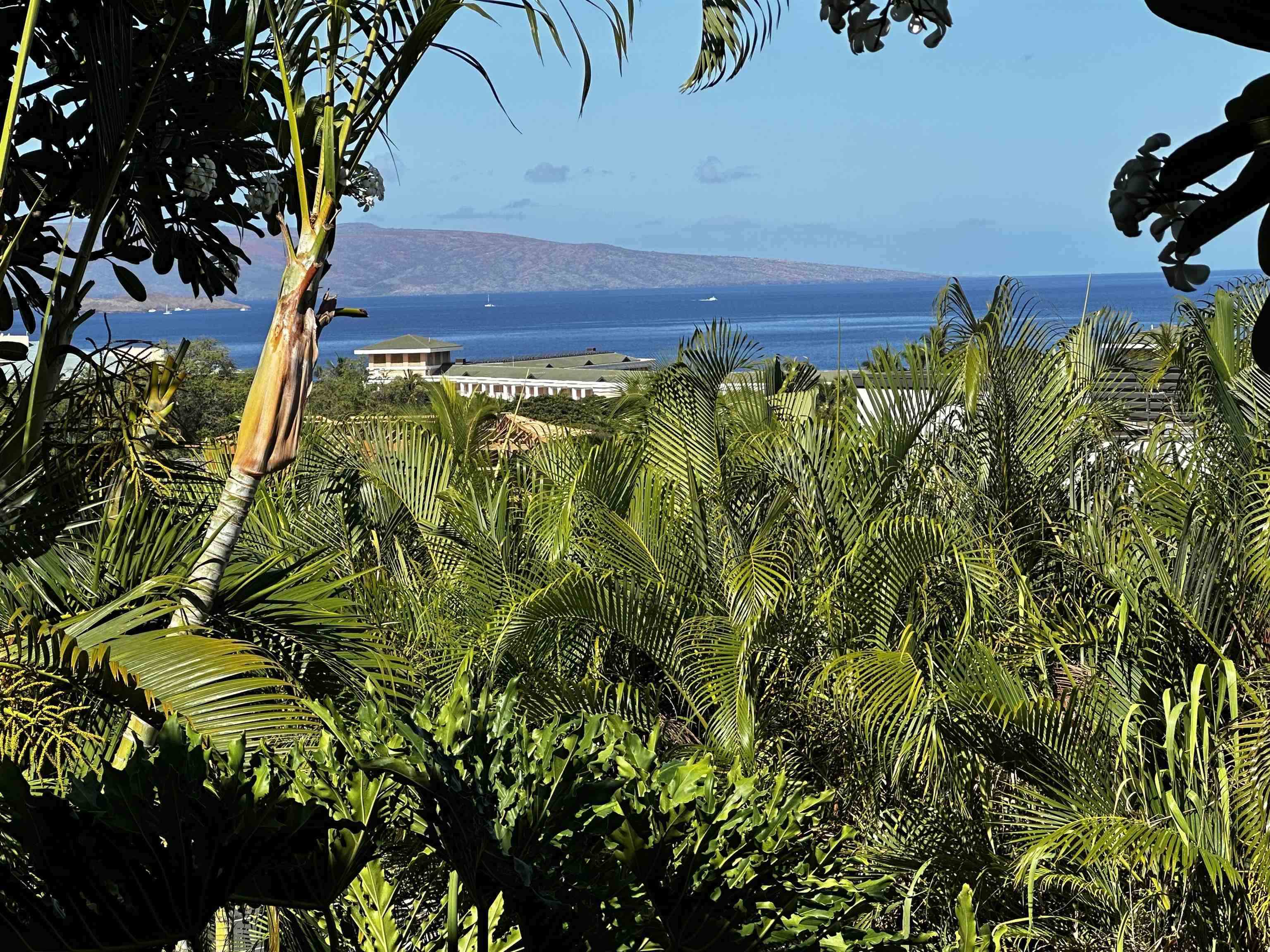 10 Wailea Ekolu Pl Property Photo 1