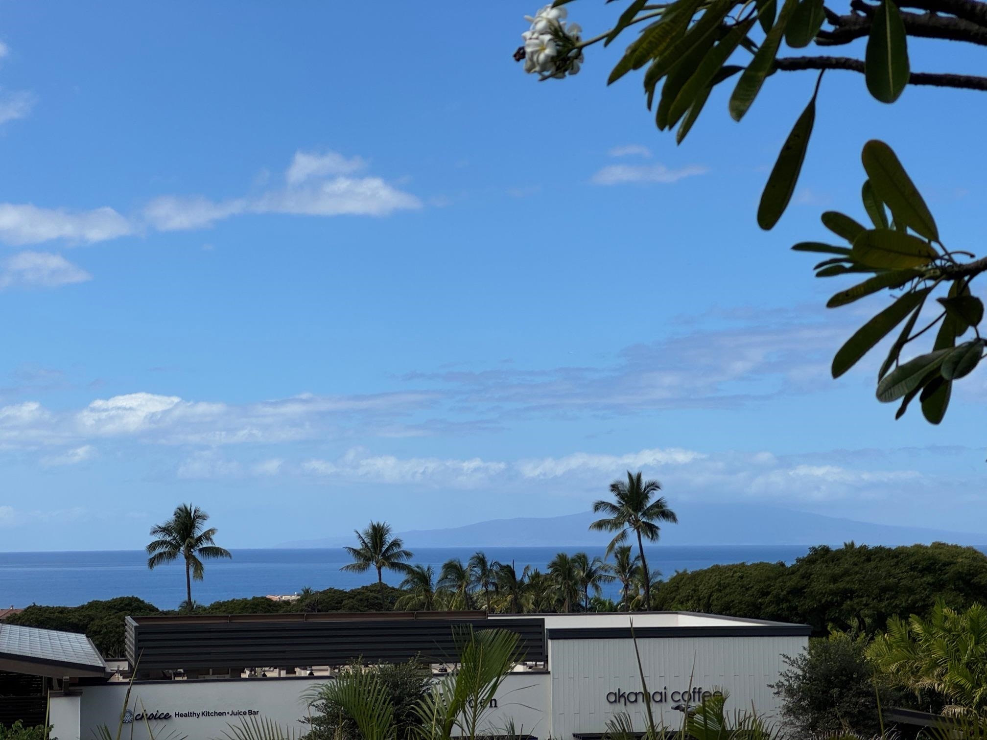 10 Wailea Ekolu Pl Property Photo 2