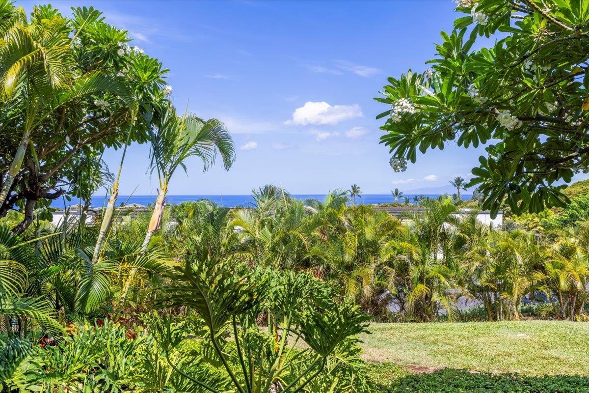 10 Wailea Ekolu Pl Property Photo 5