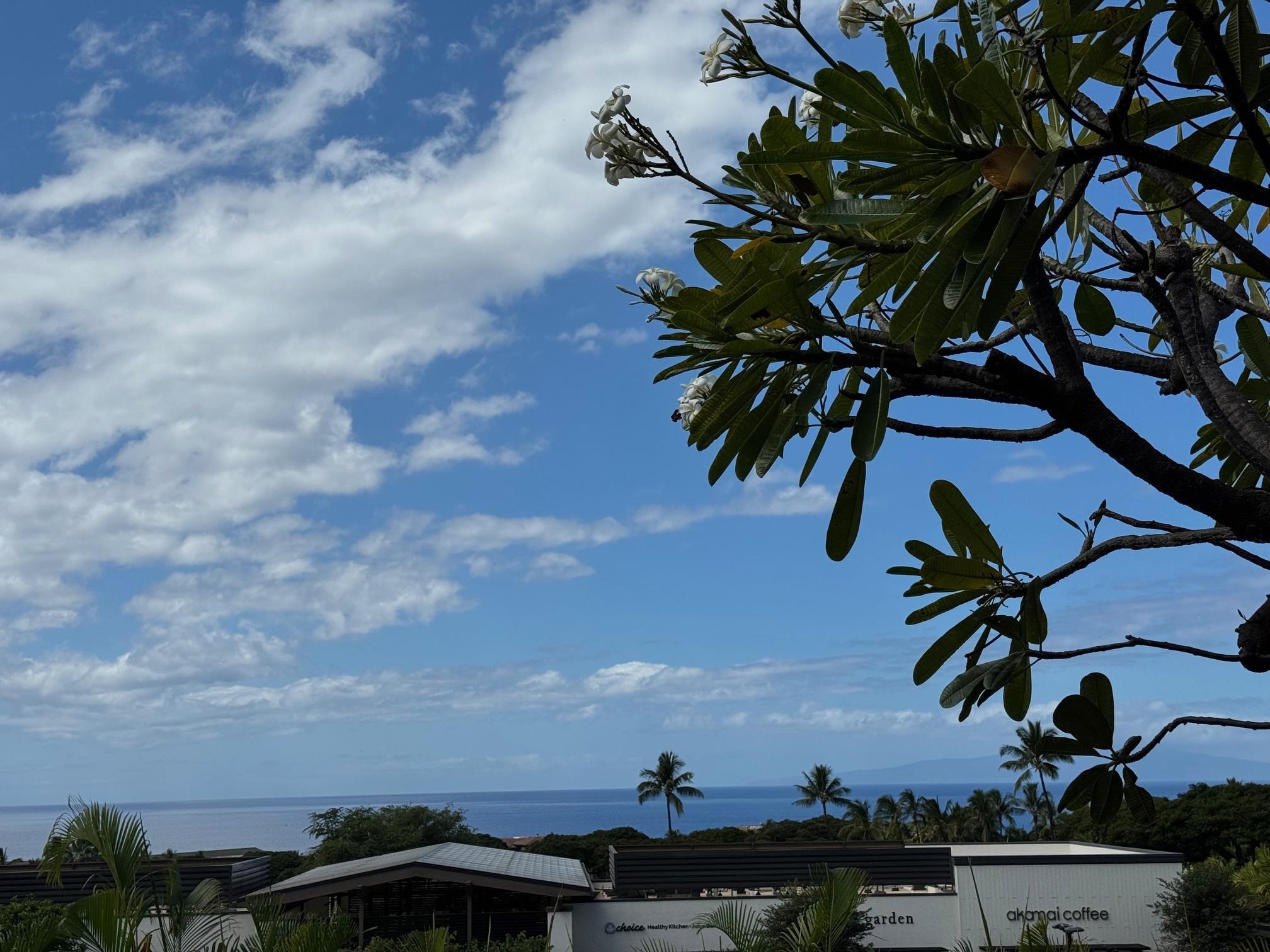 10 Wailea Ekolu Pl Property Photo 7
