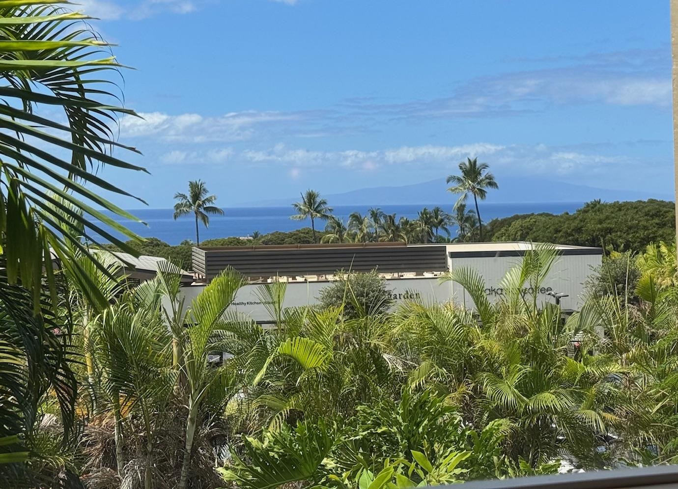10 Wailea Ekolu Pl Property Photo 8