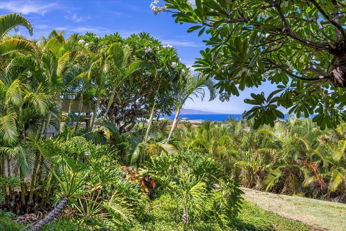 10 Wailea Ekolu Pl Property Photo 32