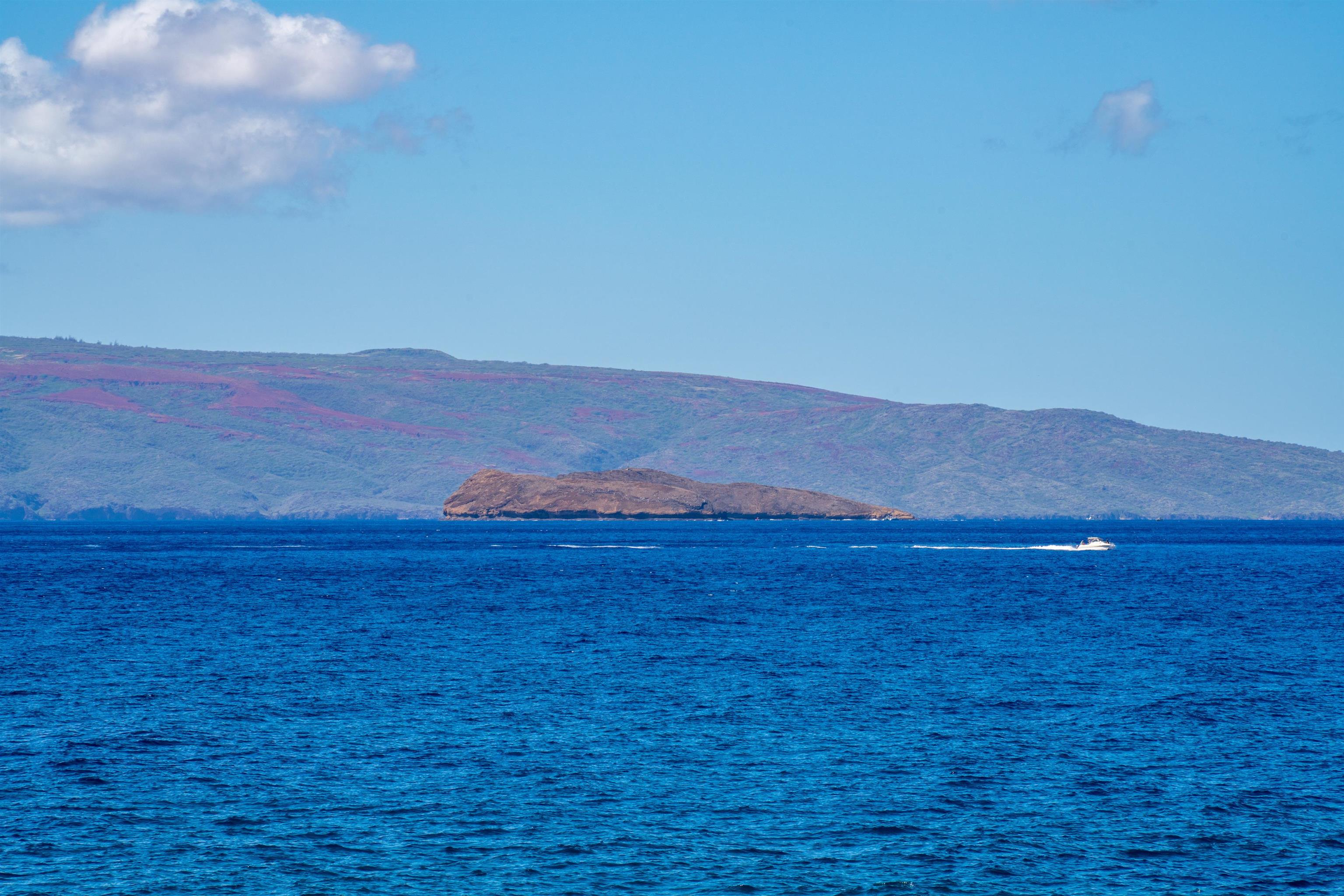 4584 Makena Rd Property Photo 11