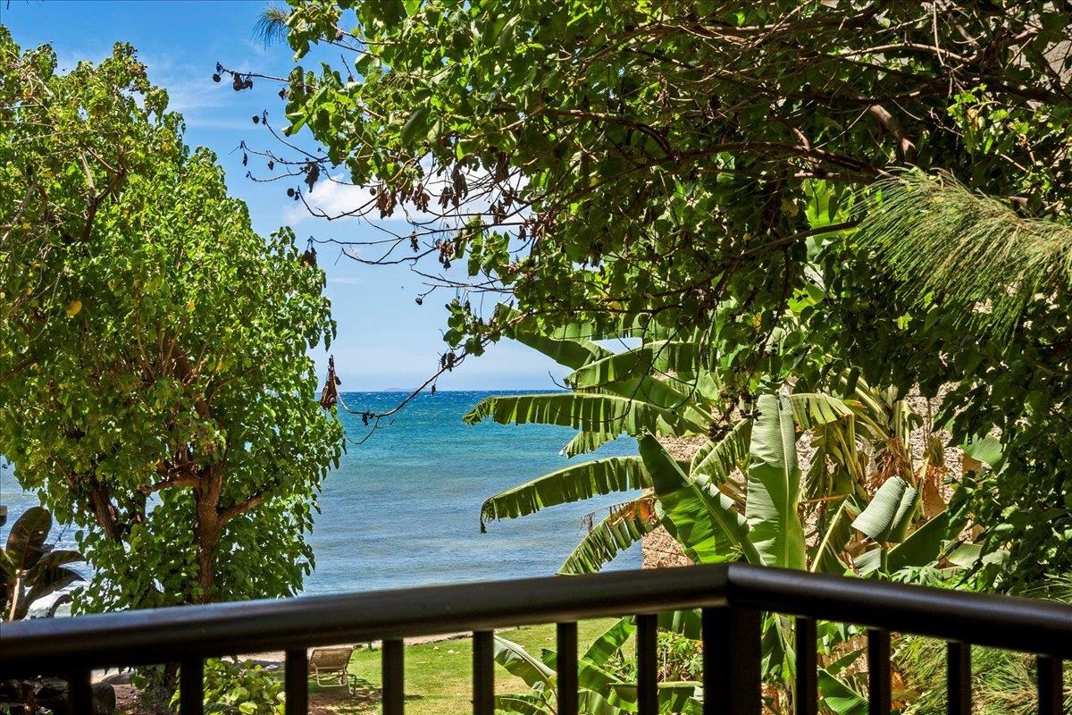 280 Hauoli St Property Photo 8