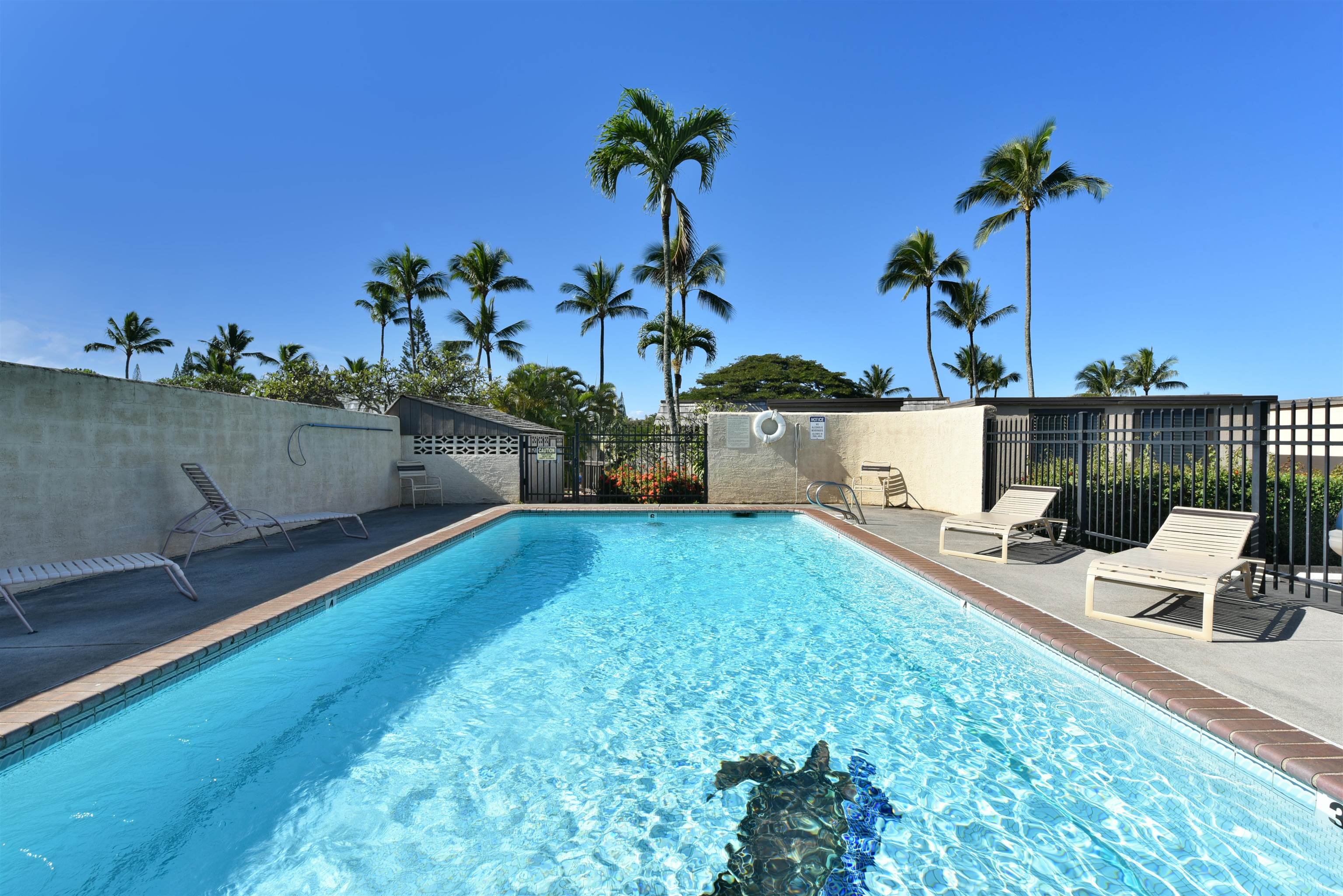 120 Hui Rd F Property Photo 34