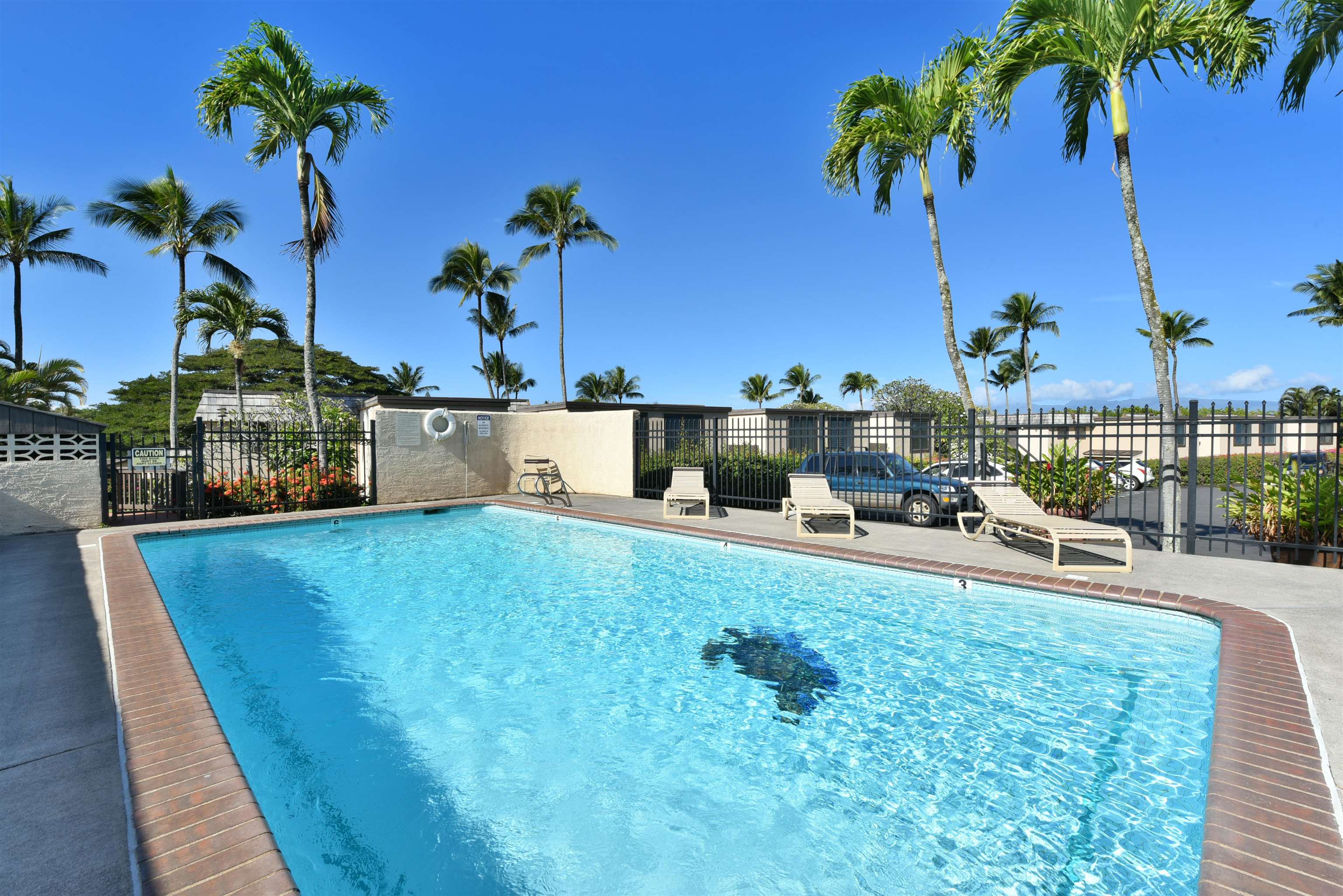 120 Hui Rd F Property Photo 39