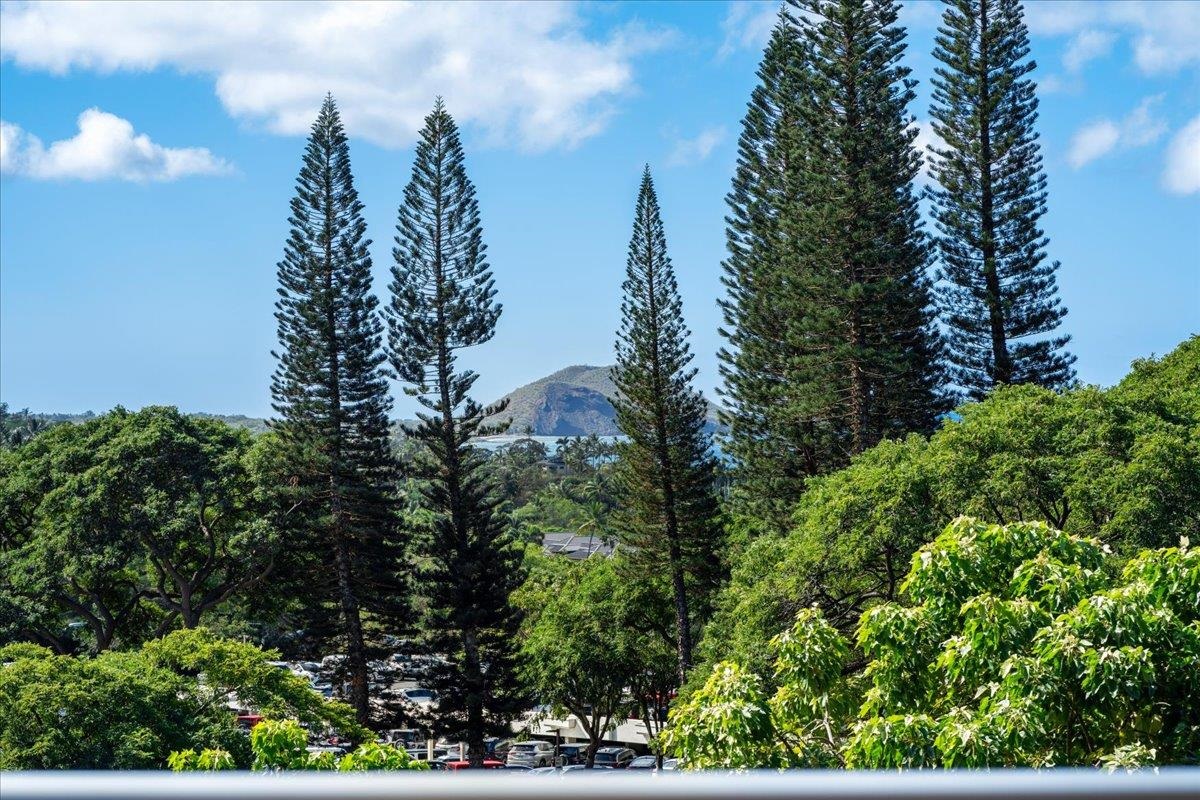 197 Holokahiki Ln Property Photo 12