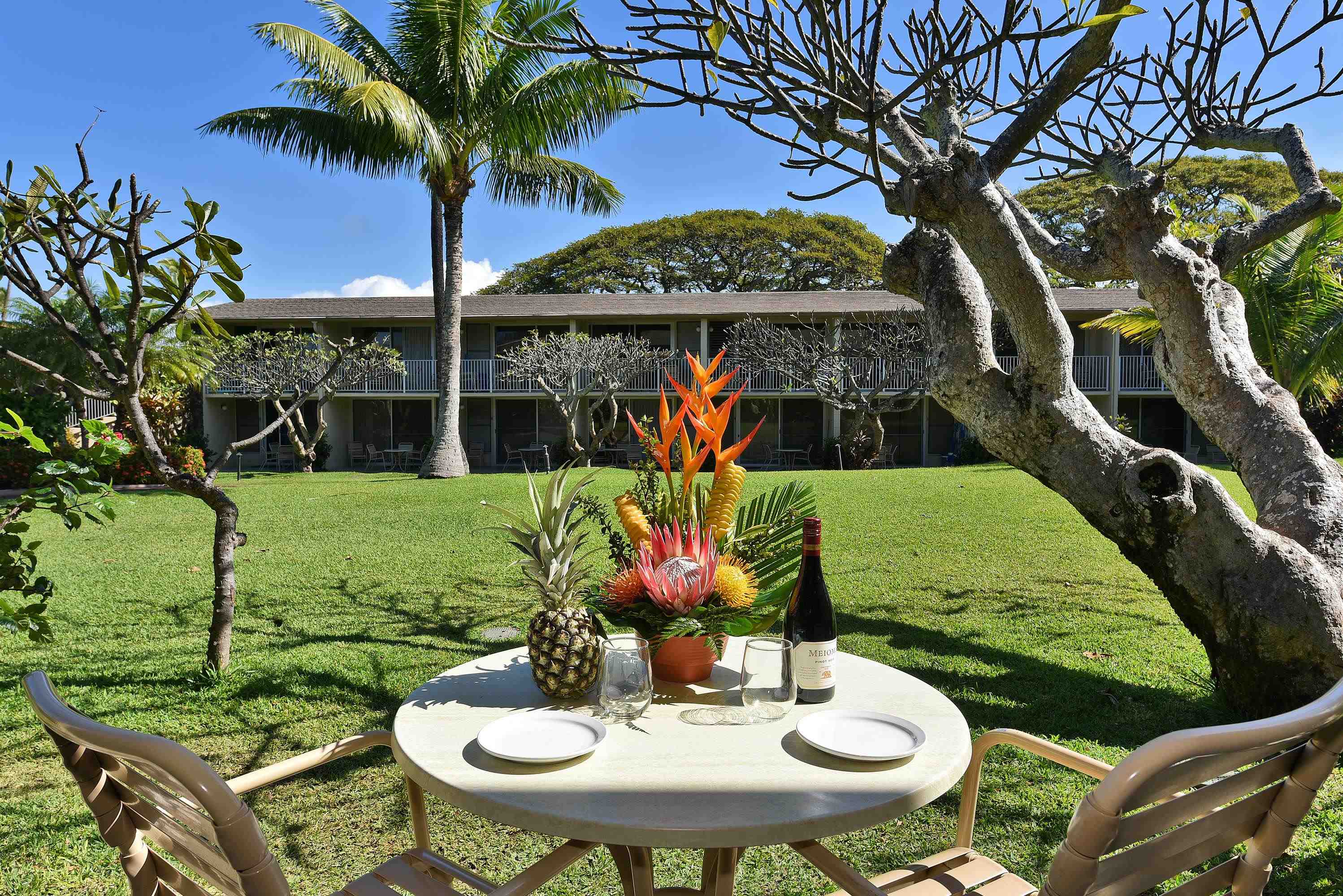 5315 Lower Honoapiilani Rd Property Photo 10