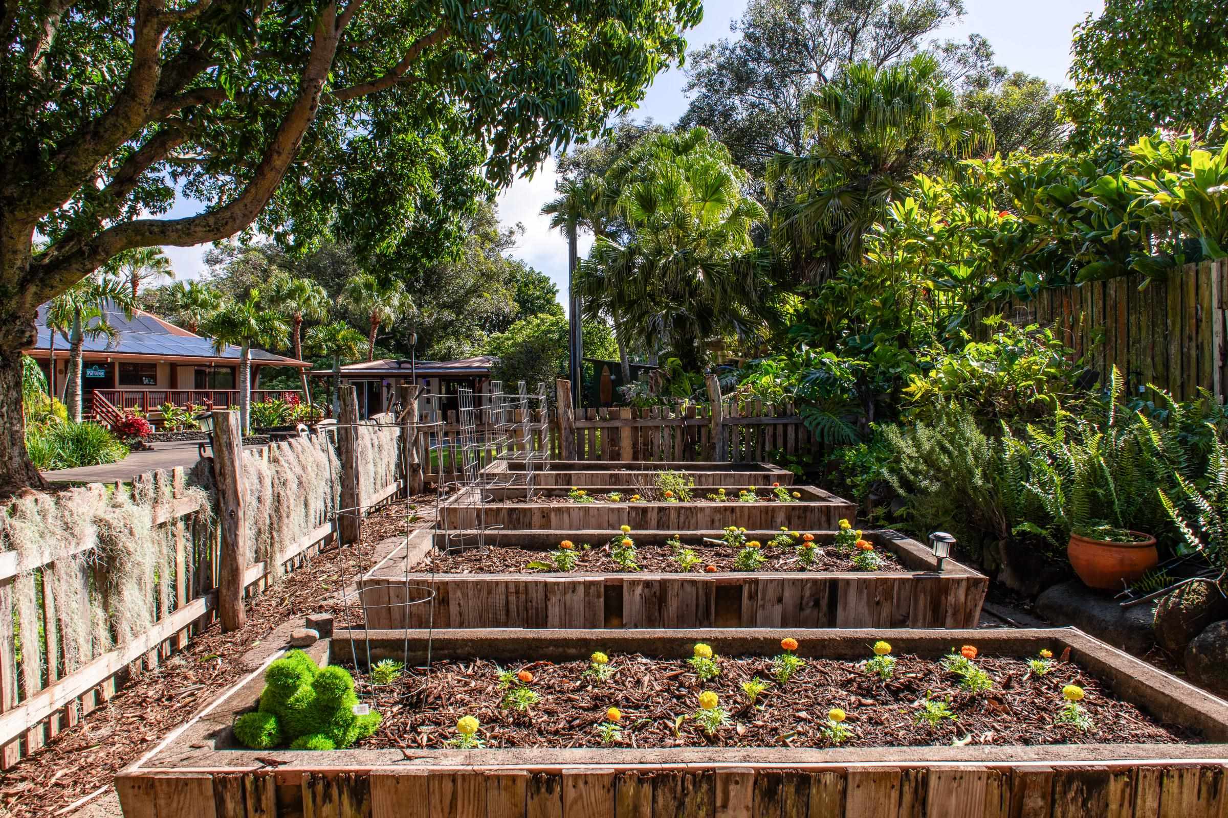 1780 Kauhikoa Rd Property Photo 47