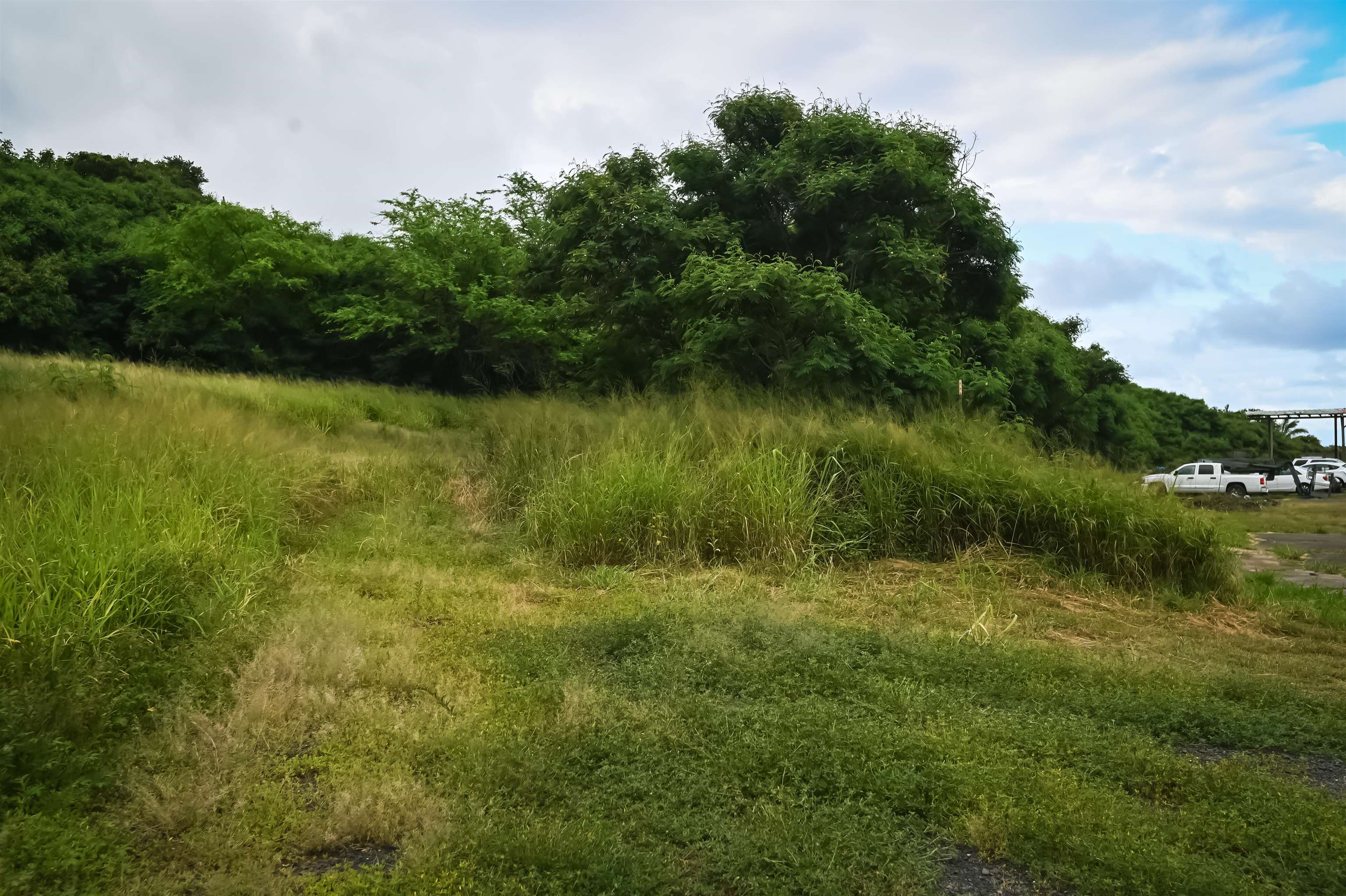 1270 Piihana Rd Property Photo 16