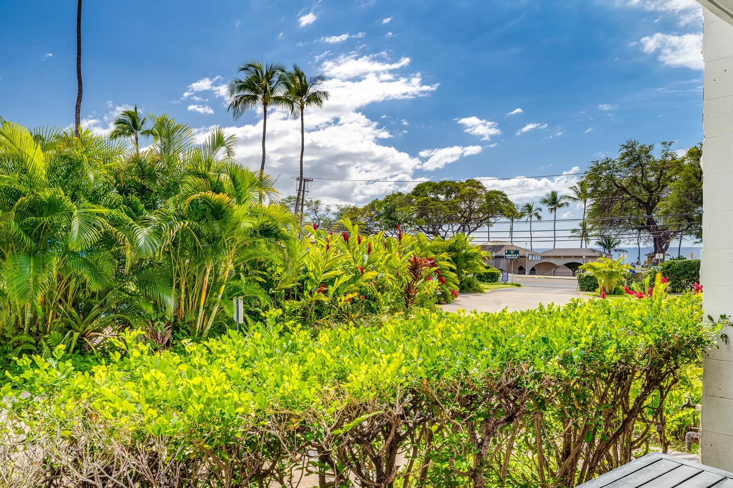 2653 S Kihei Rd Property Photo 4