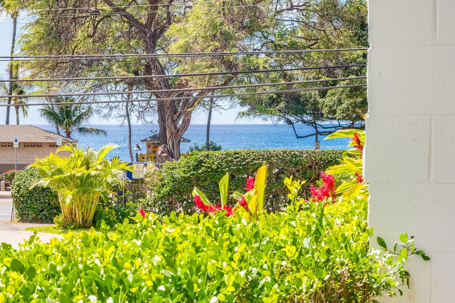 2653 S Kihei Rd Property Photo 44