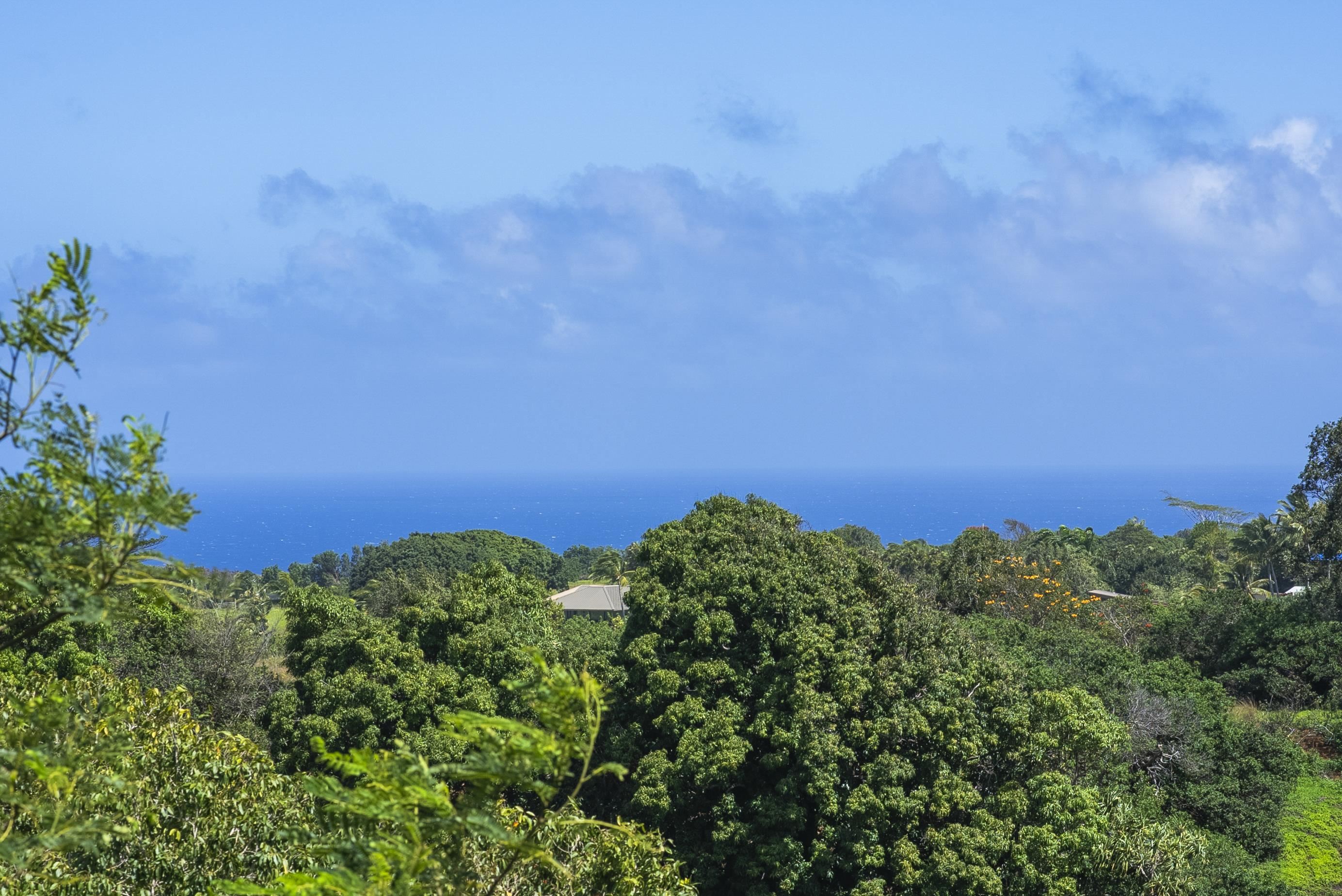 3980 Hana Hwy Property Photo 4