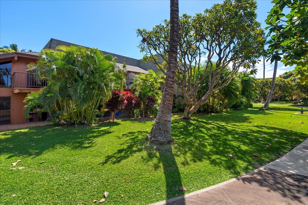 811 S Kihei Rd Property Photo 44