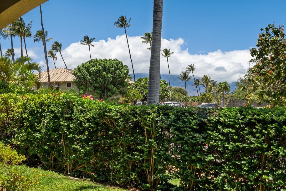 44 Kanani Rd Property Photo 32