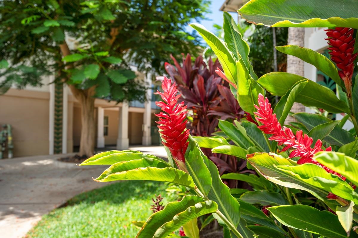 44 Kanani Rd Property Photo 34