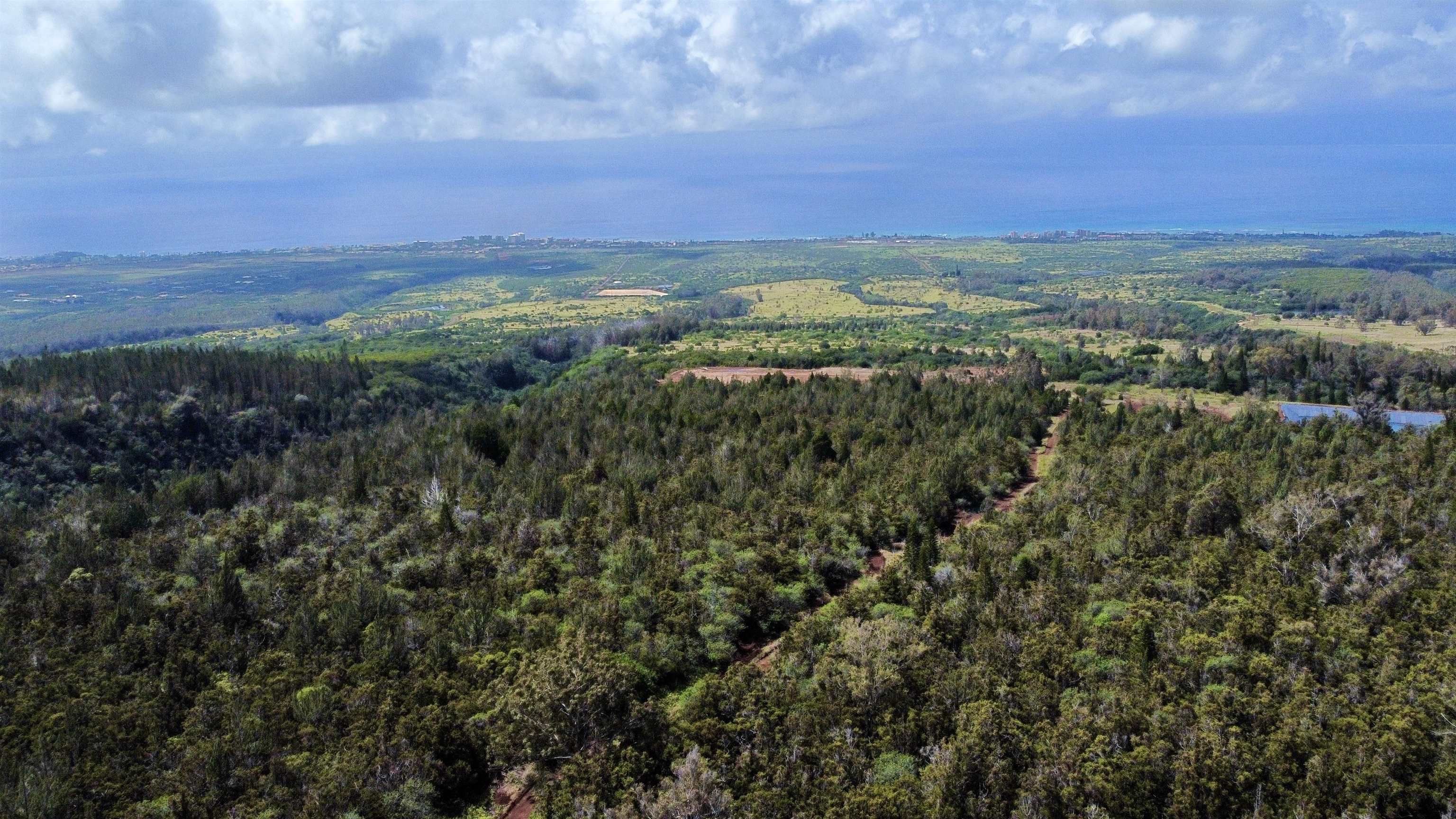 Mauka Of Honolua Ditch Property Photo 6