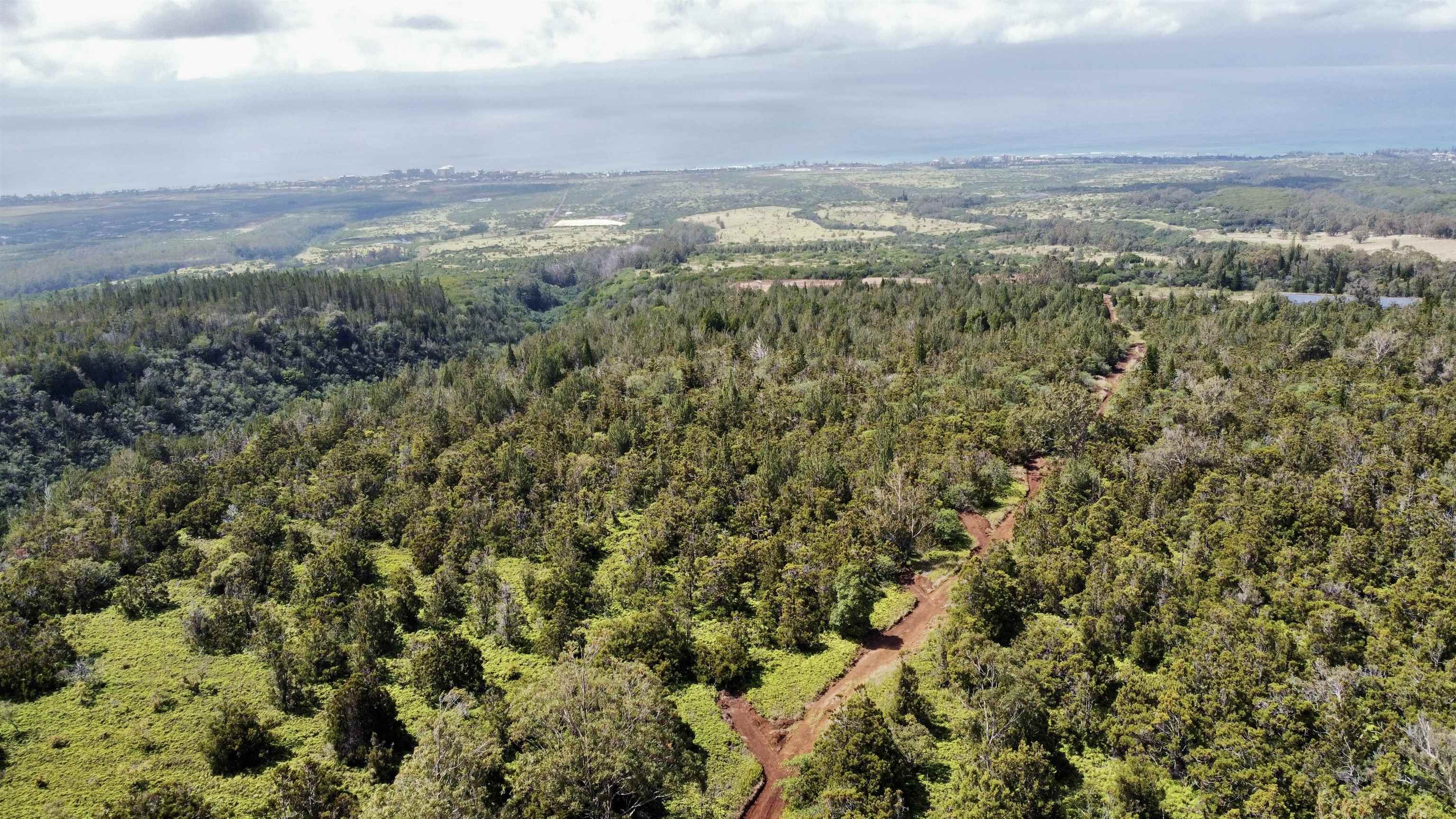 Mauka Of Honolua Ditch Property Photo 7