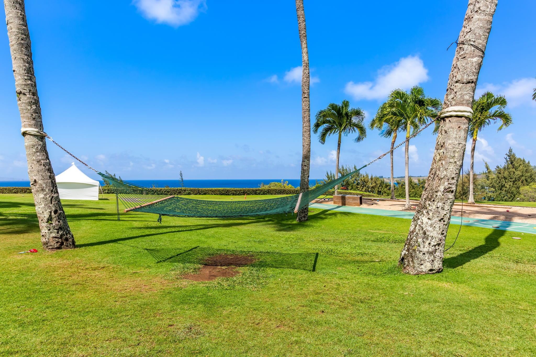 1 Ritz Carlton Dr Property Photo 28