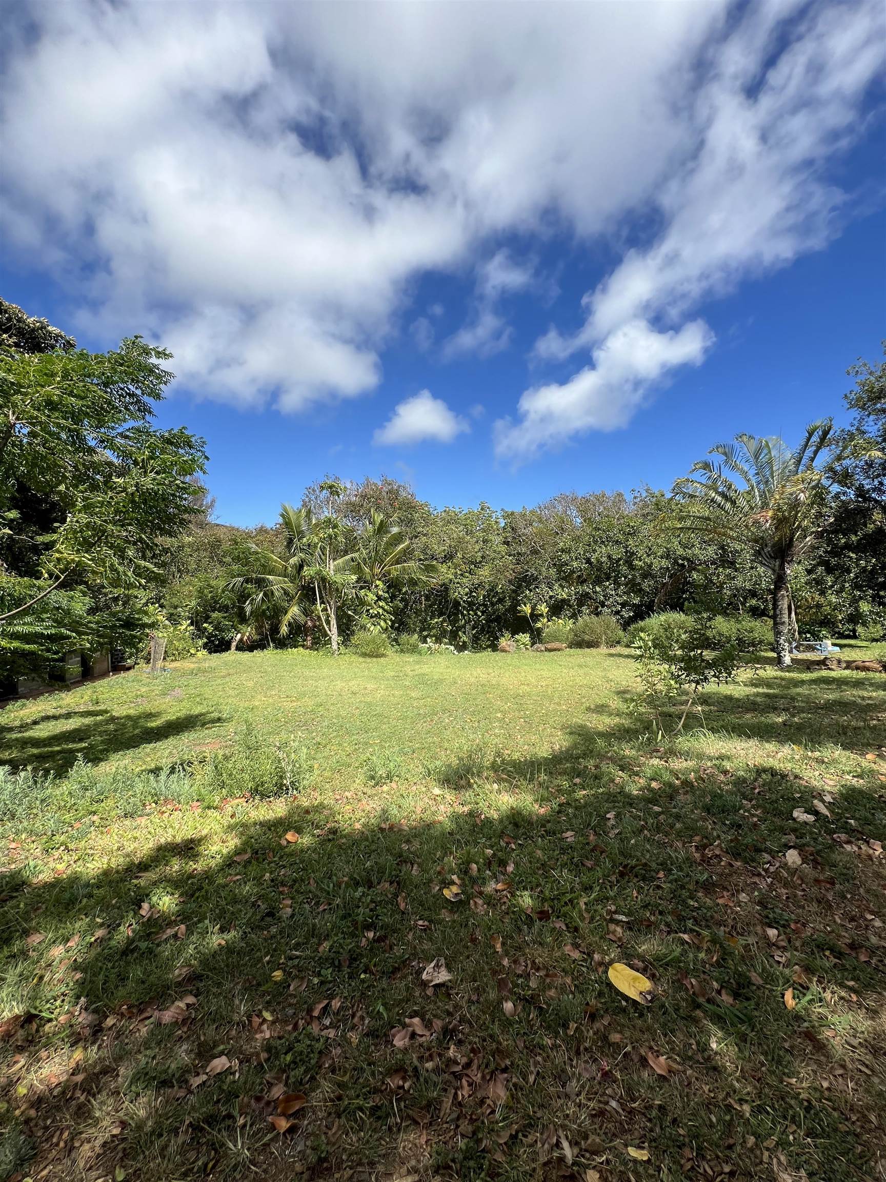 50 Pauwela Rd Property Photo 3