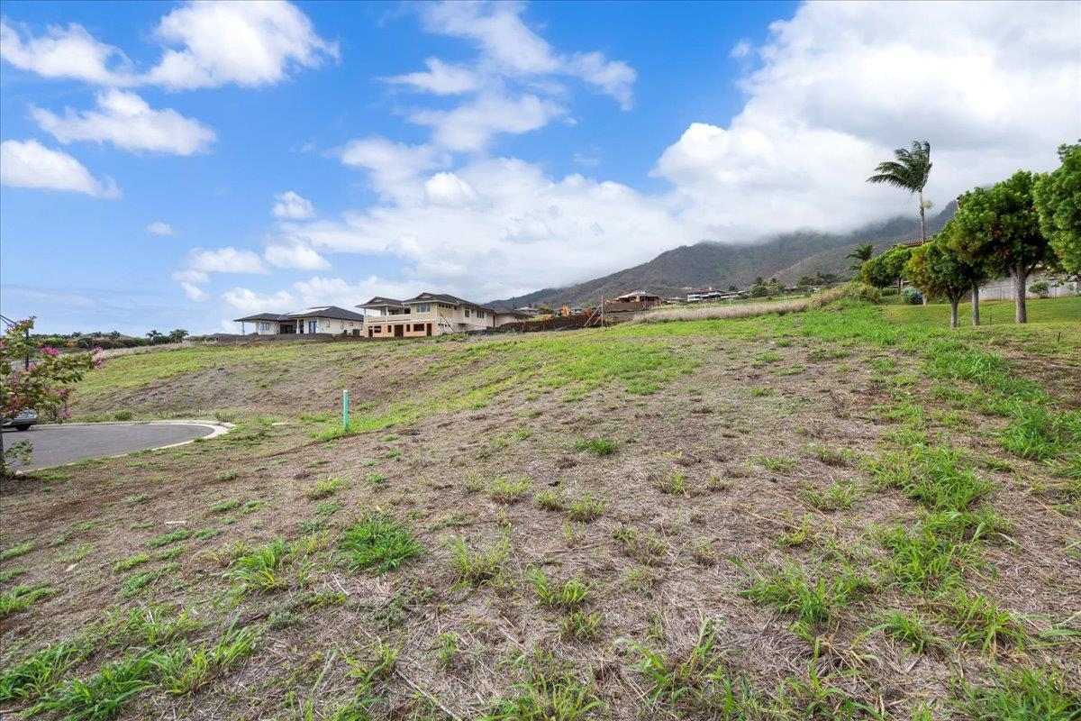 125 Hopoi Pl Property Photo 20