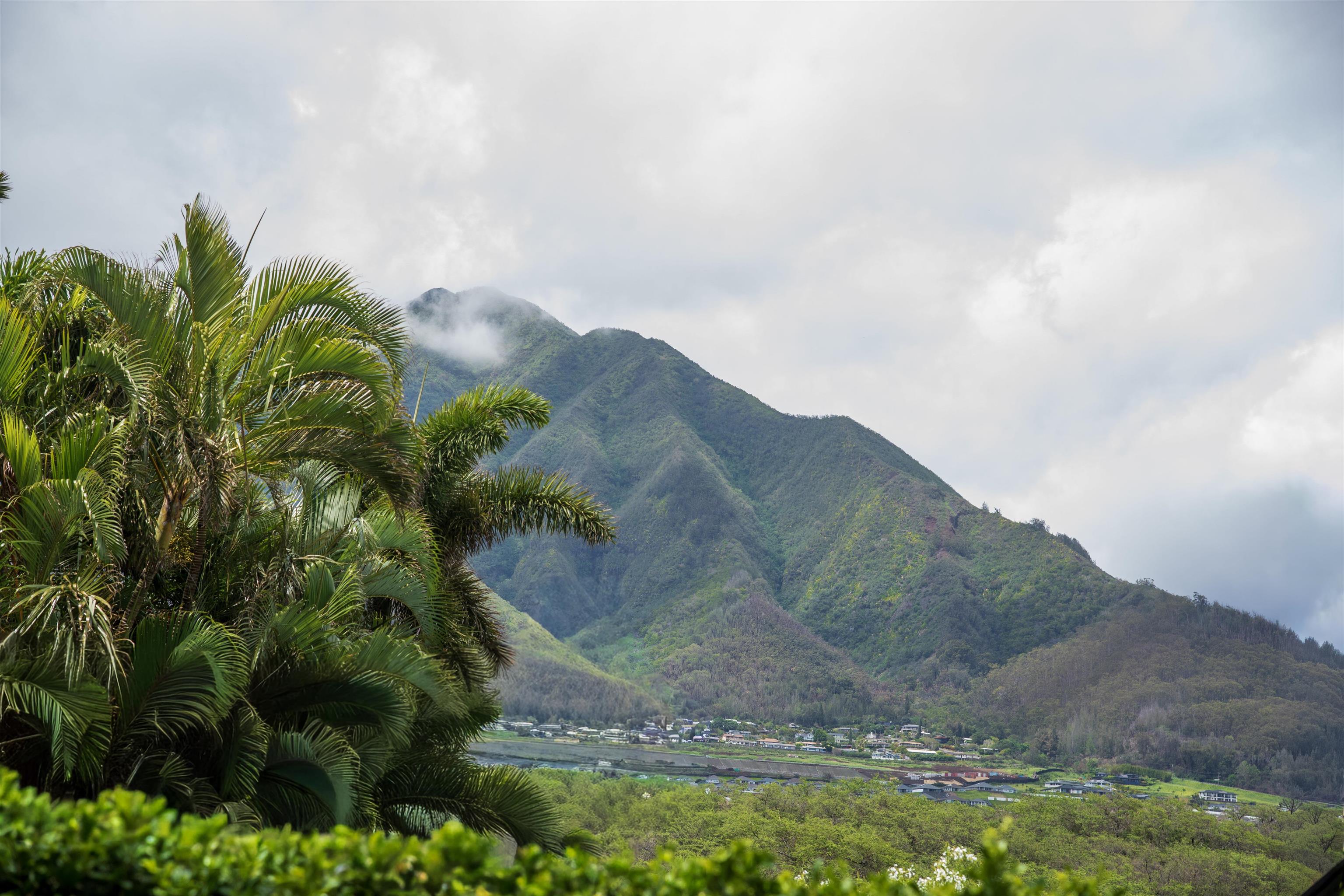 20 Pu'ukai Pl Property Photo 50
