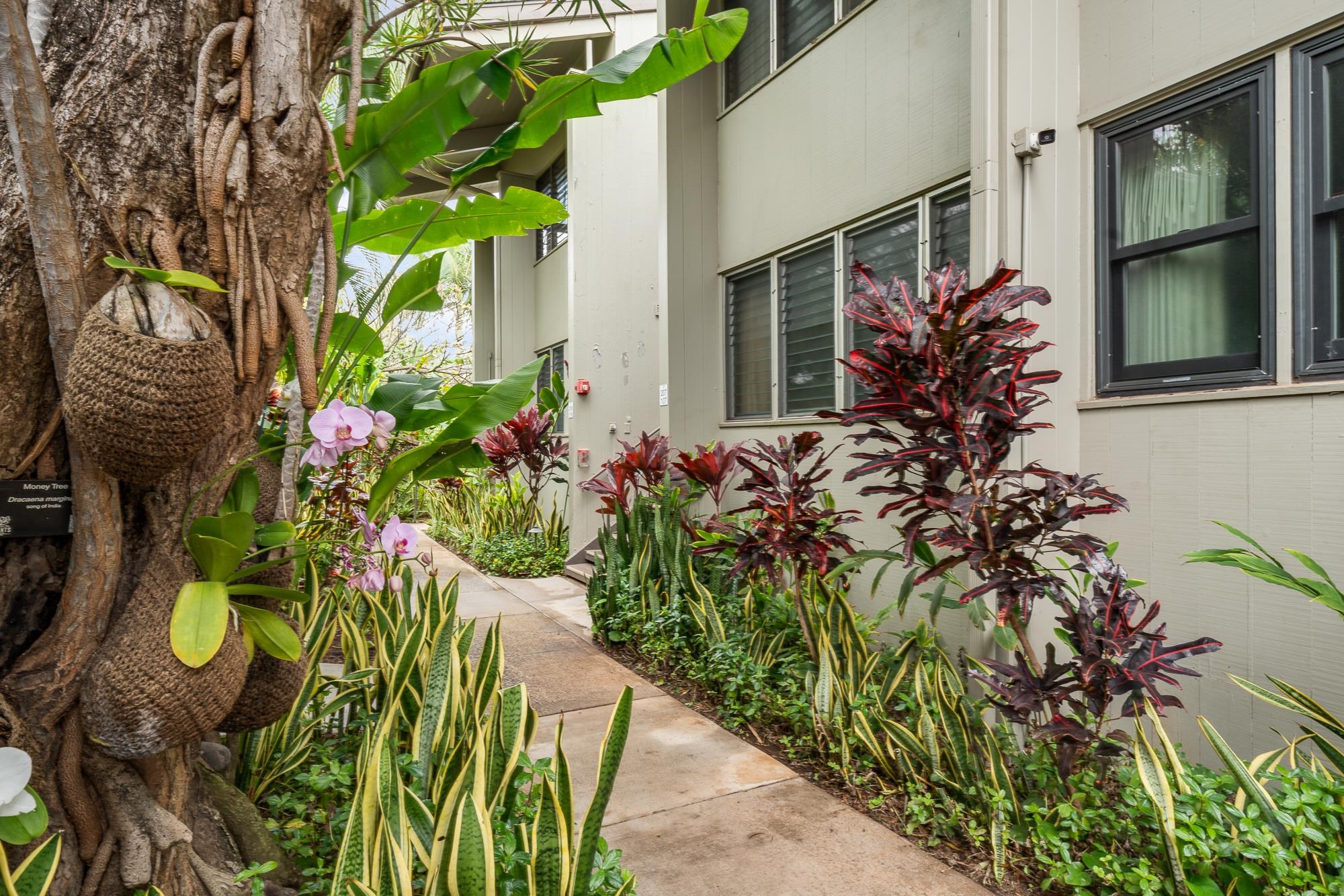 5255 Lower Honoapiilani Rd Property Photo 46