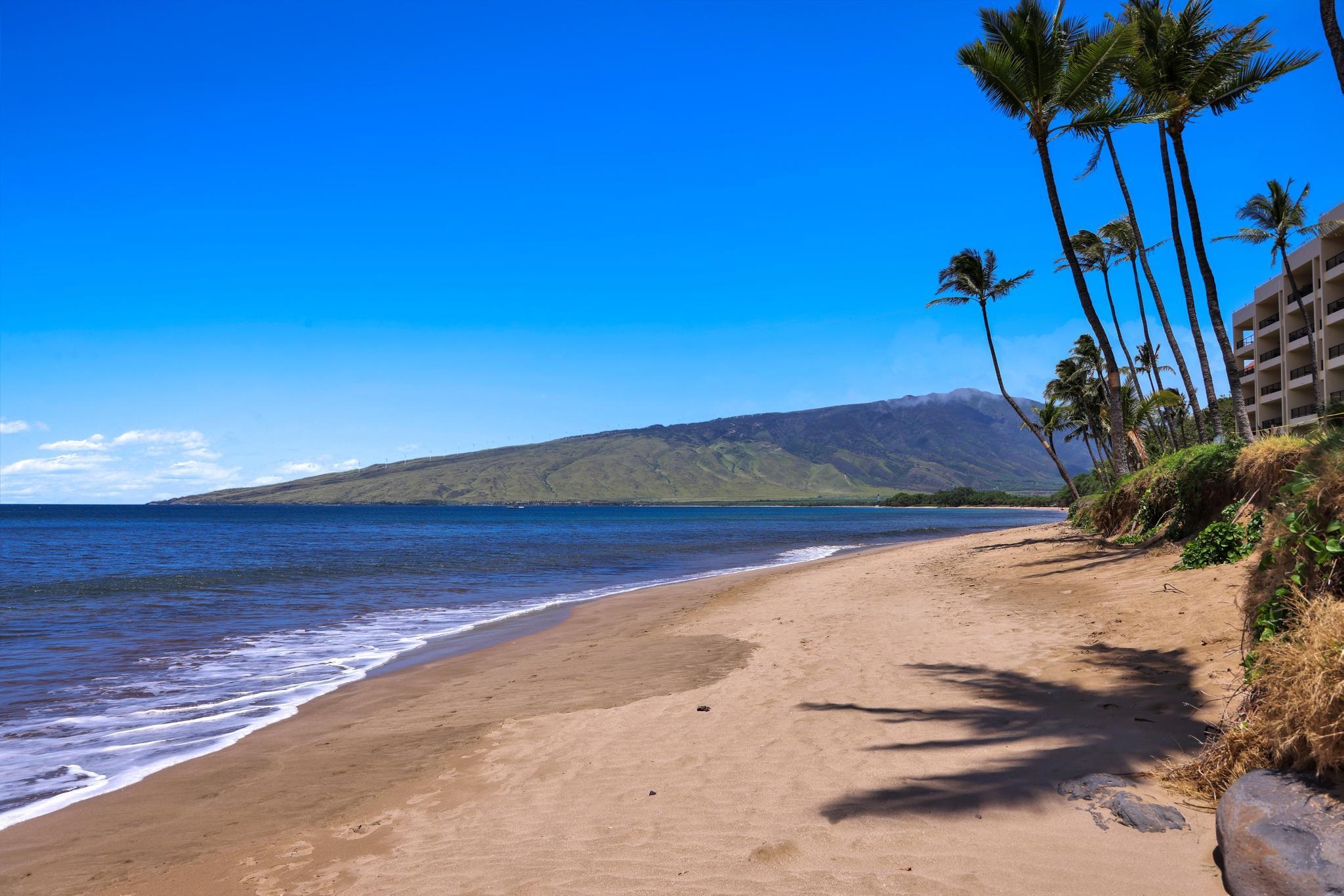 145 N Kihei Rd Property Photo 40
