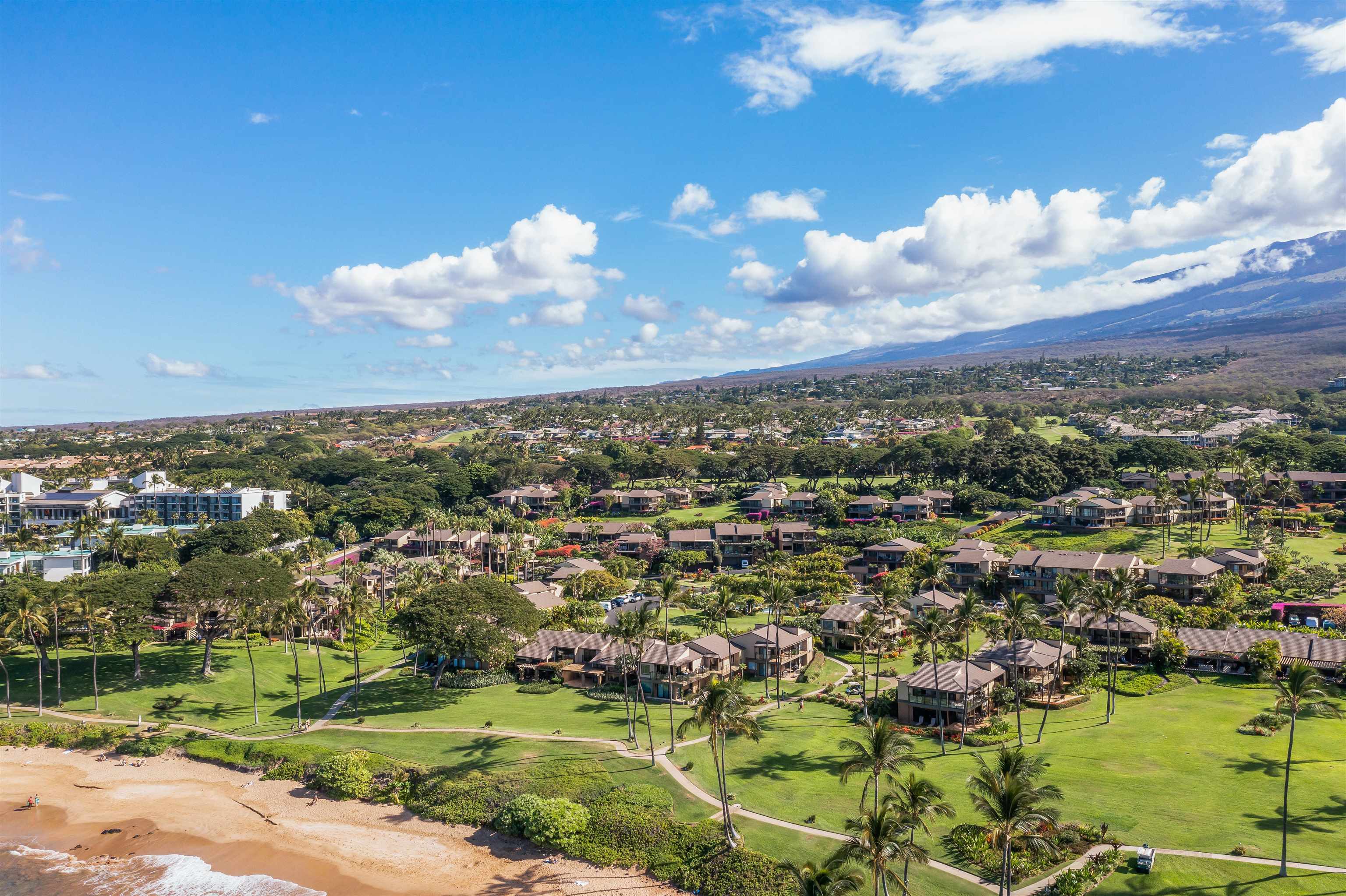 3600 Wailea Alanui Dr Property Photo 30