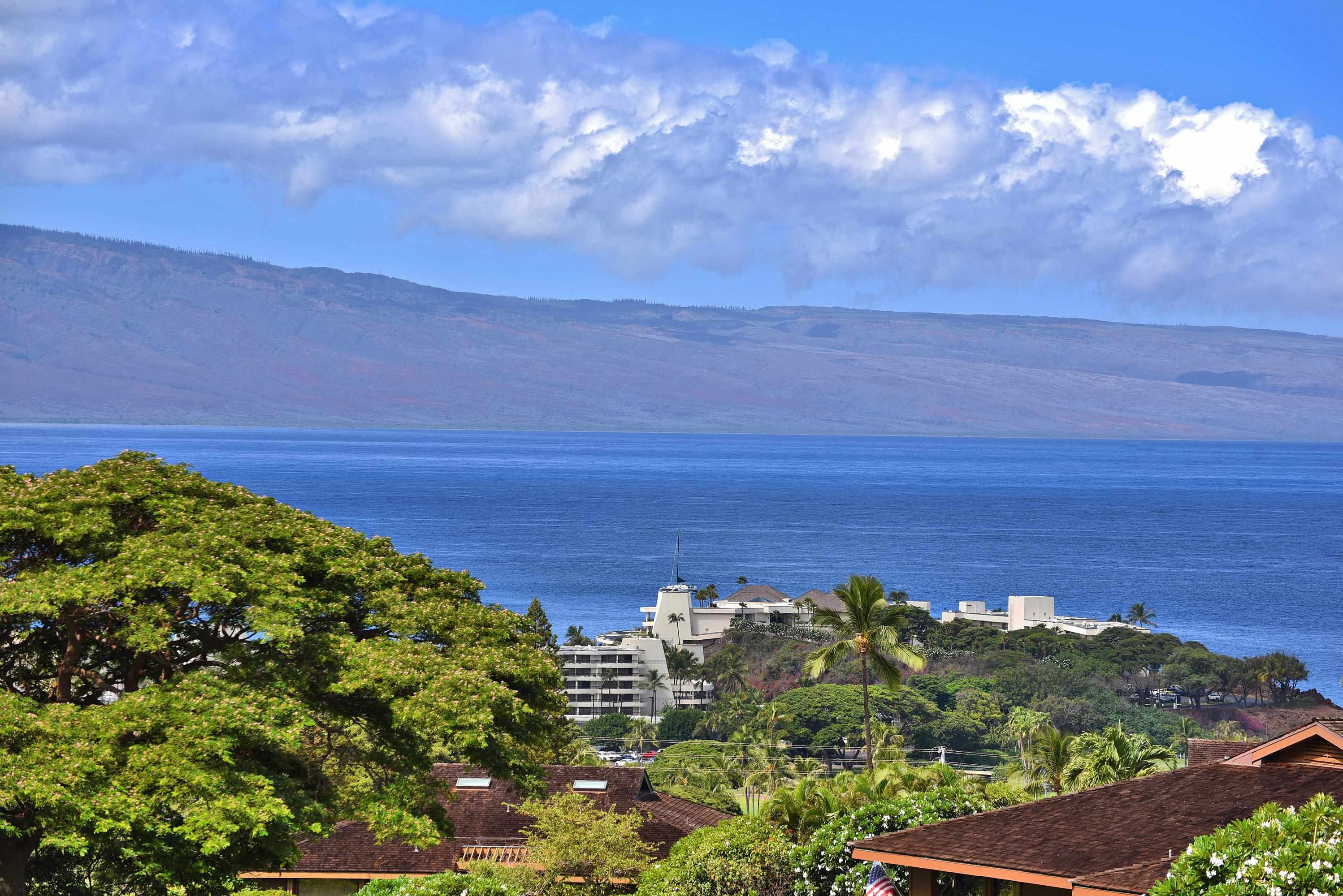 50 Puu Anoano St Property Photo 1