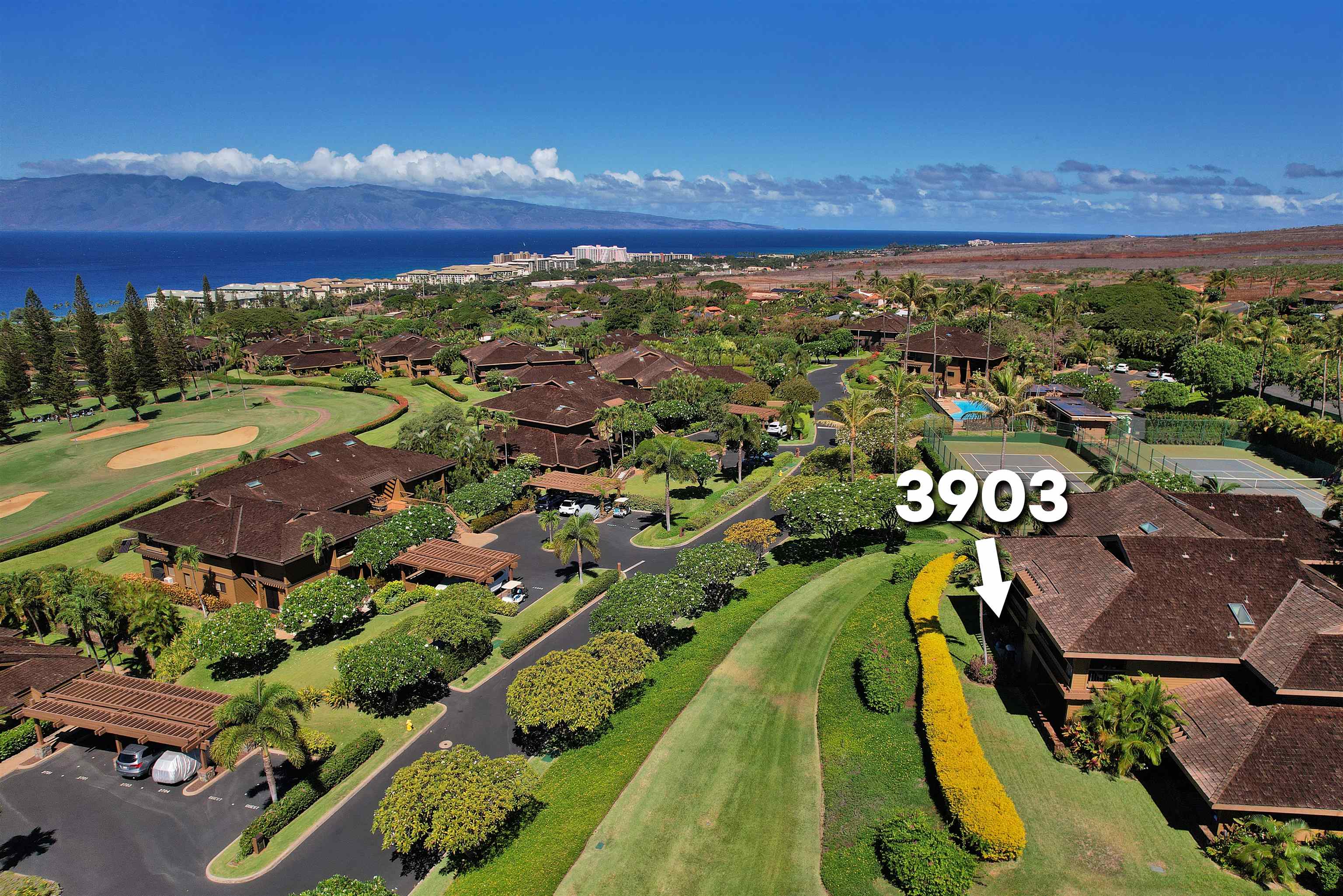 50 Puu Anoano St Property Photo 19