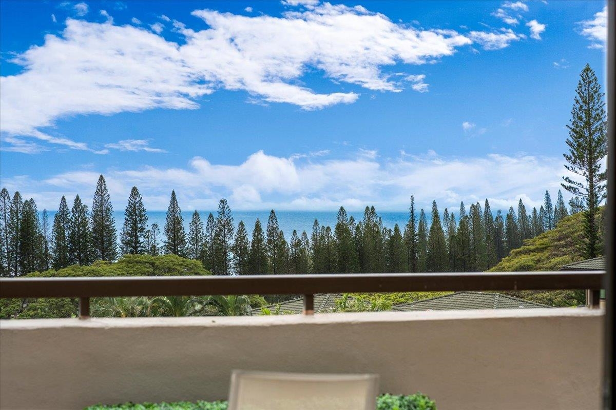 500 Kapalua Dr Property Photo 1