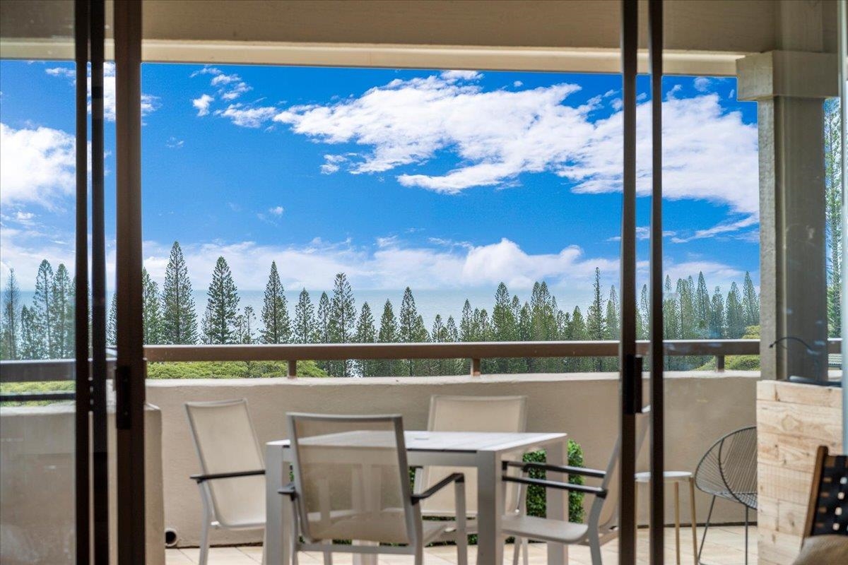 500 Kapalua Dr Property Photo 21