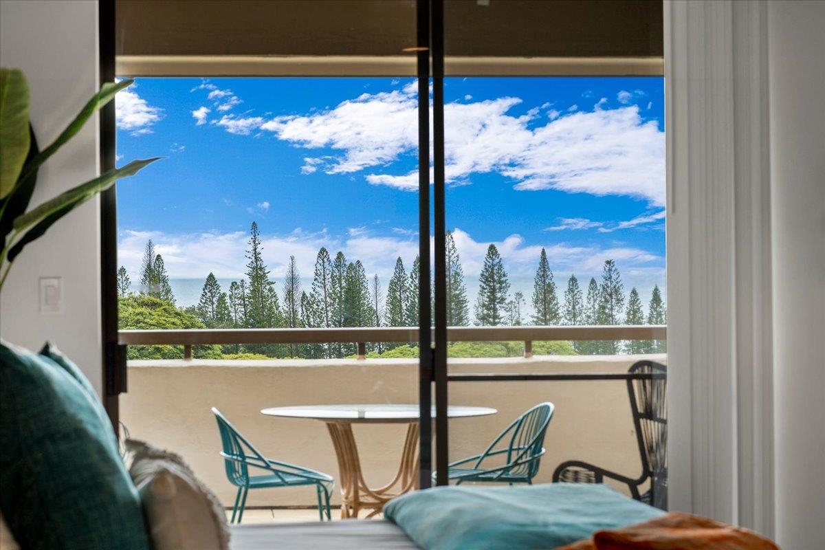 500 Kapalua Dr Property Photo 22