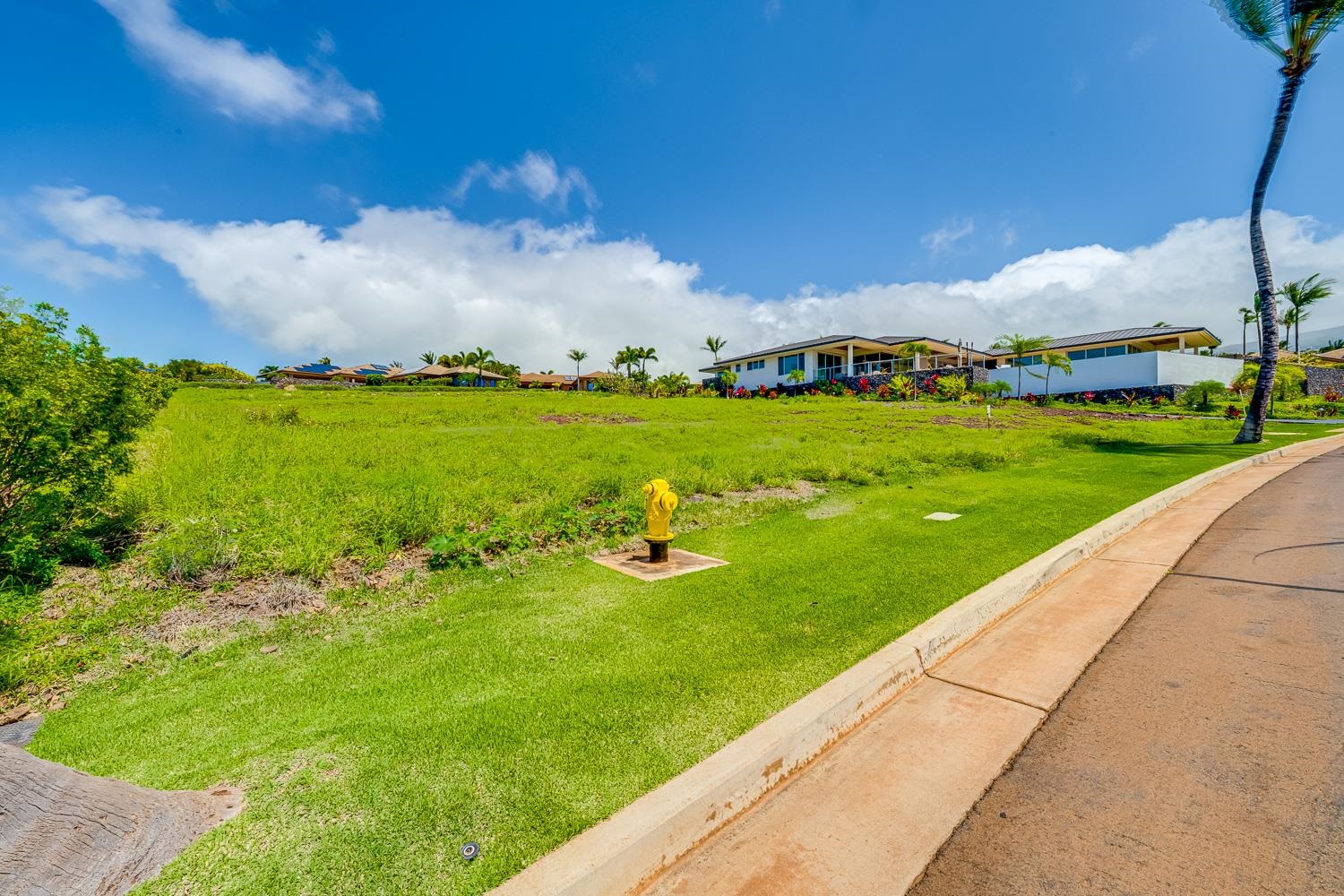 447 Anapuni Loop Property Photo 11