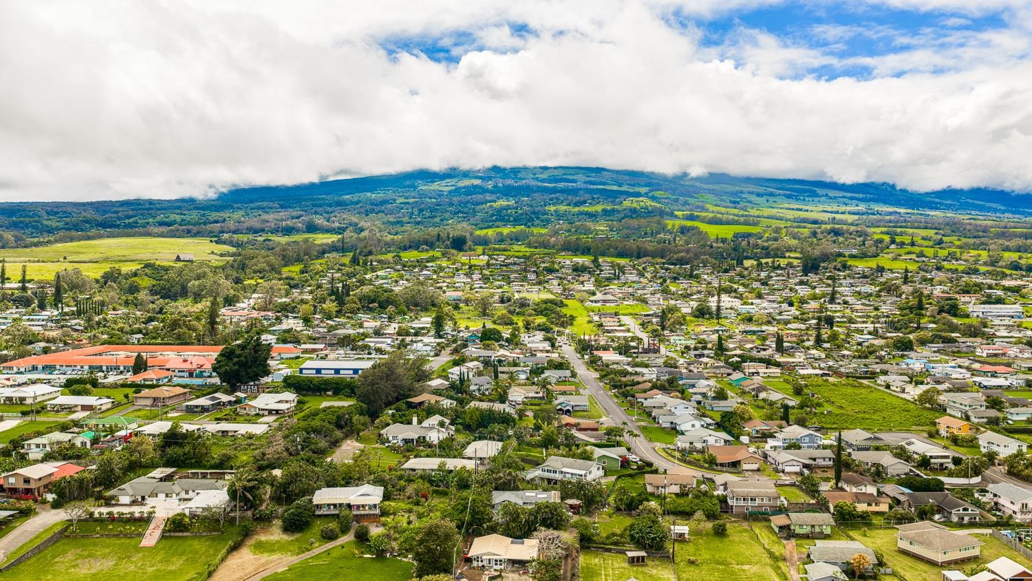1088 Mamalu Pl Property Photo 45