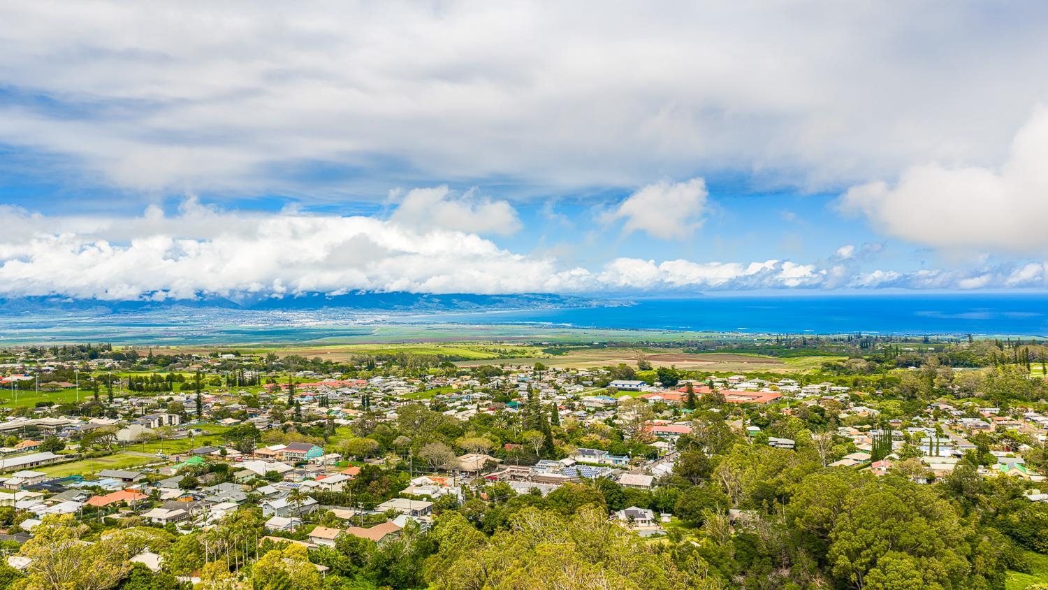 1088 Mamalu Pl Property Photo 47