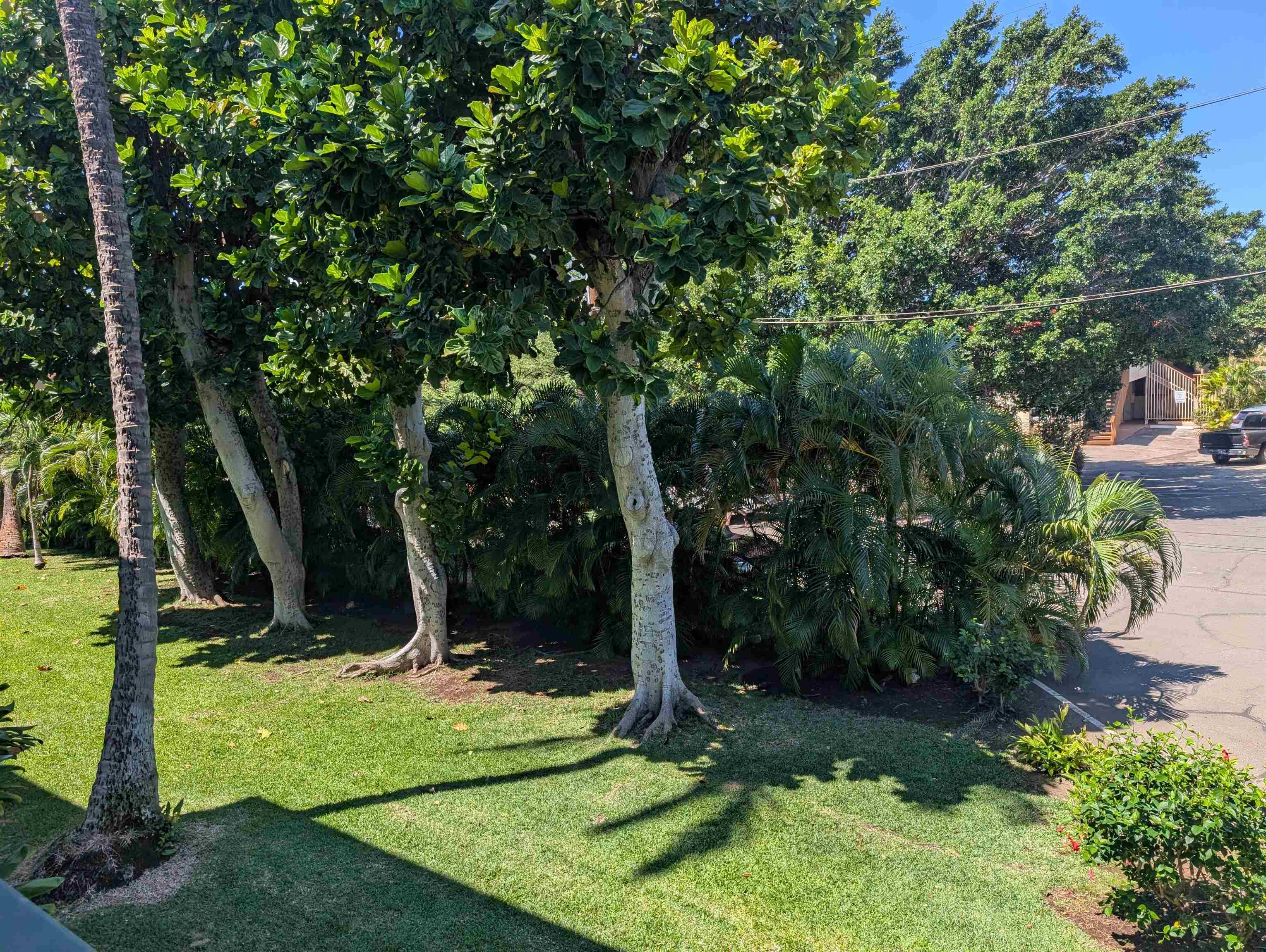 35 Walaka St Property Photo 24